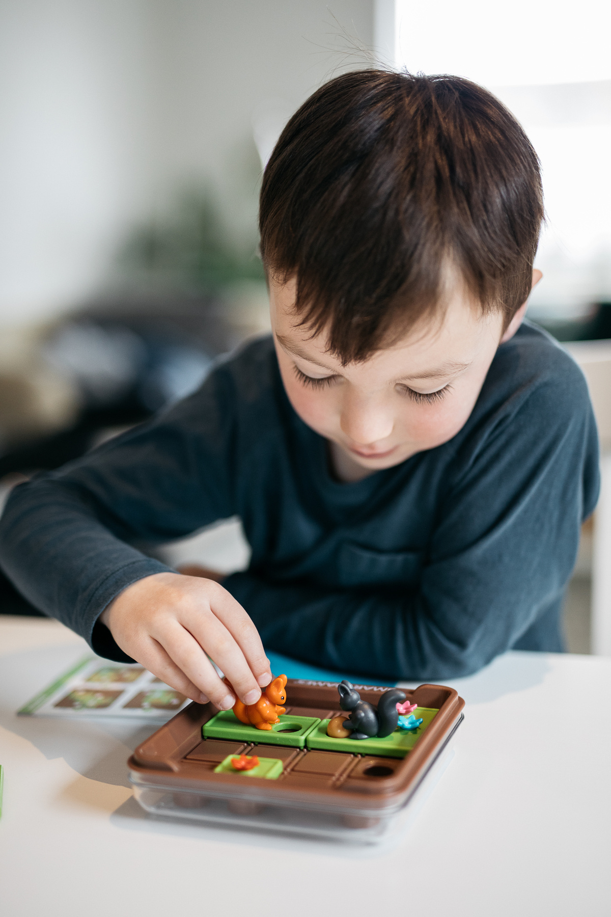 بازیها سنجابها دیوانه میشوند