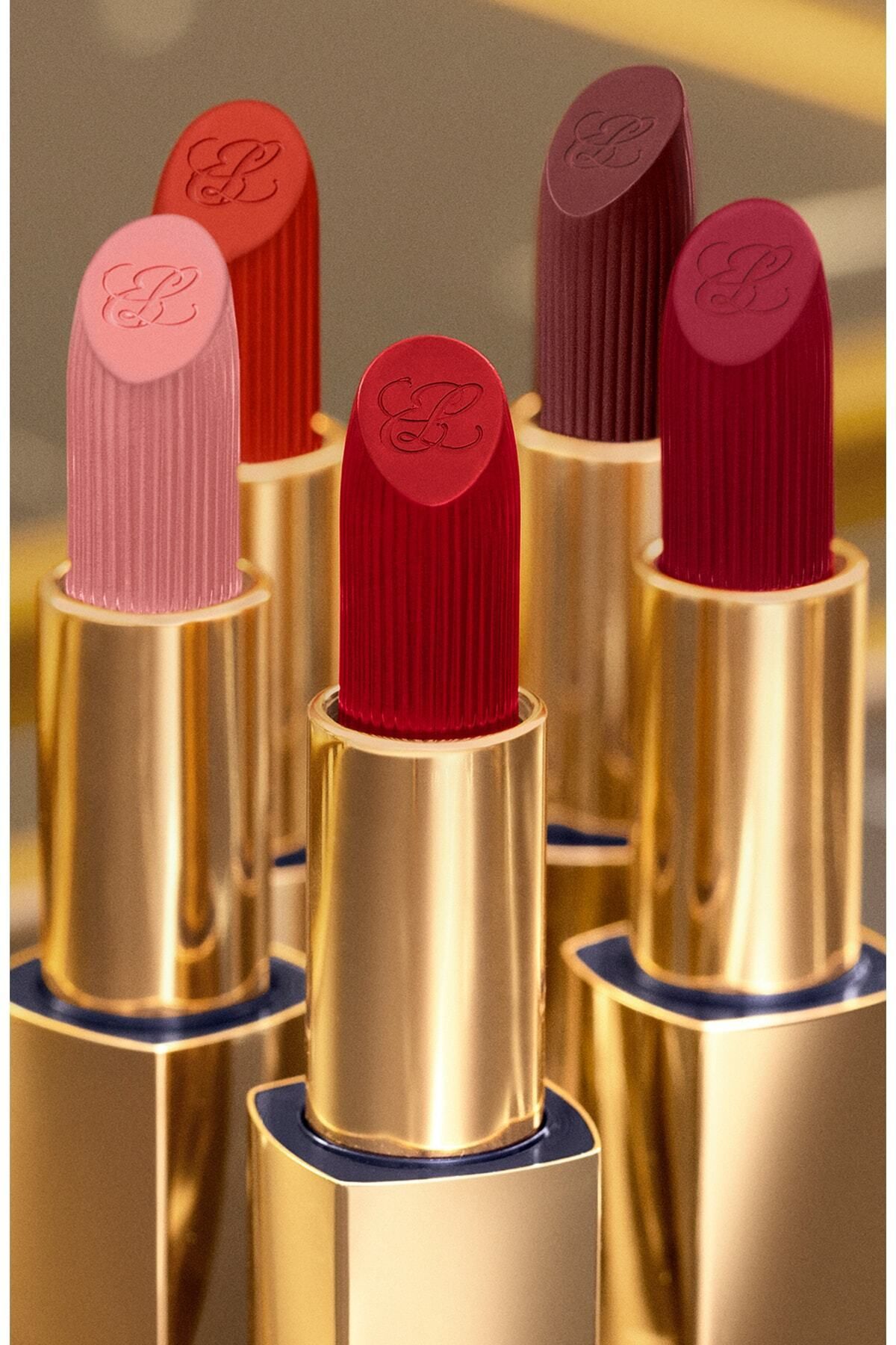 Estee Lauder-Long Lasting Matte Lipstick - for Plump and Smooth Lips, -3.5Gr-569 Fearless Pssns.229 6