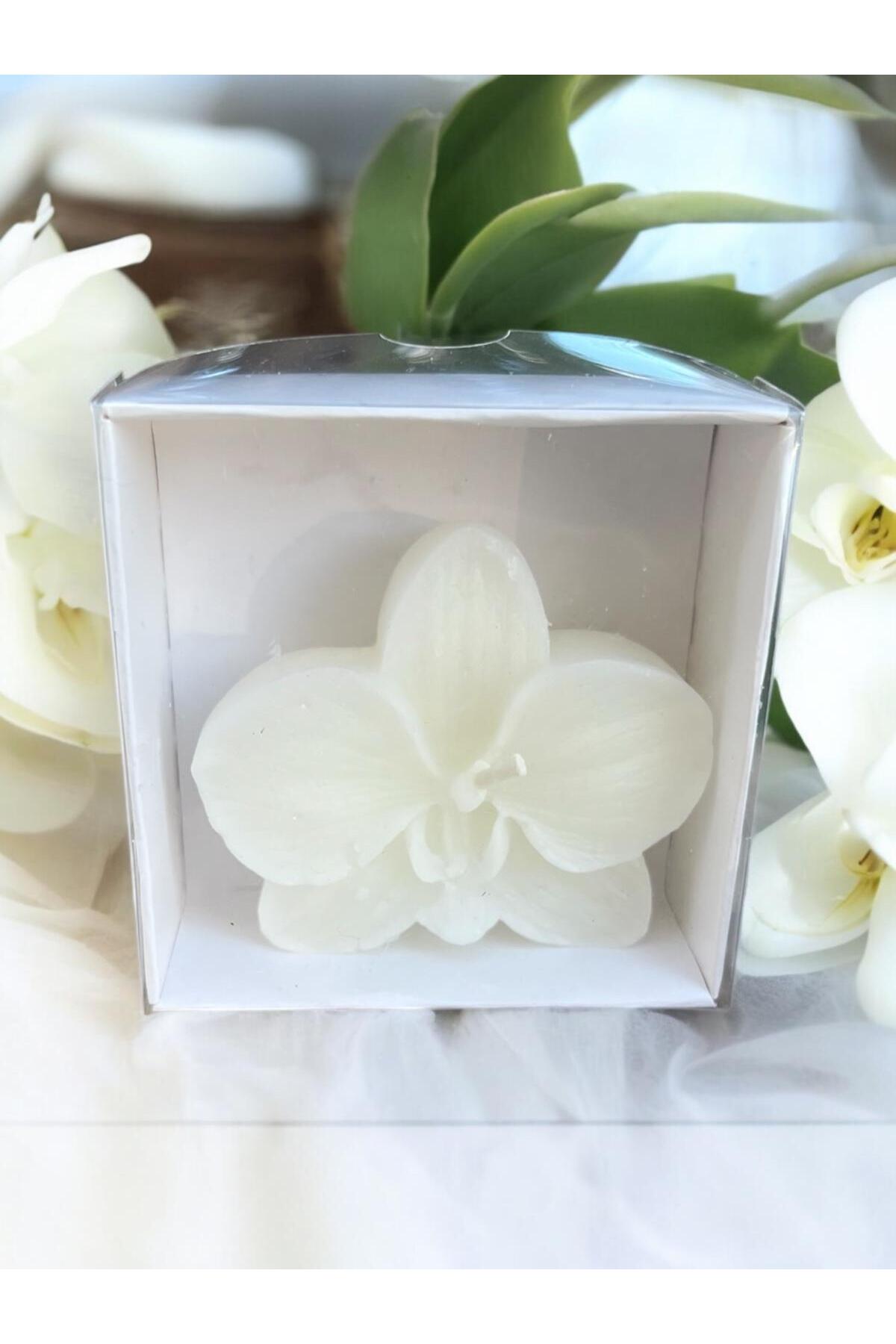 aralmini 20 Adet Beyaz Kutulu Orkide Çiçeği Mum, Hediyelik, Nişan, Düğün, Sünnet, Söz, Kına, Doğum Günü fotoğrafı 3 (önizleme)