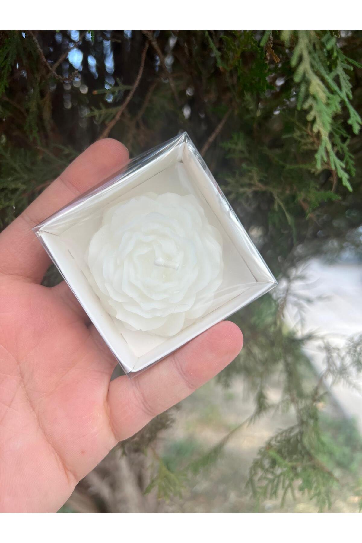 aralmini 15 Adet Beyaz Kutulu Şakayık Mum , Nişan, Düğün, Sünnet, Söz, Kına, Doğum Günü fotoğrafı 2 (önizleme)