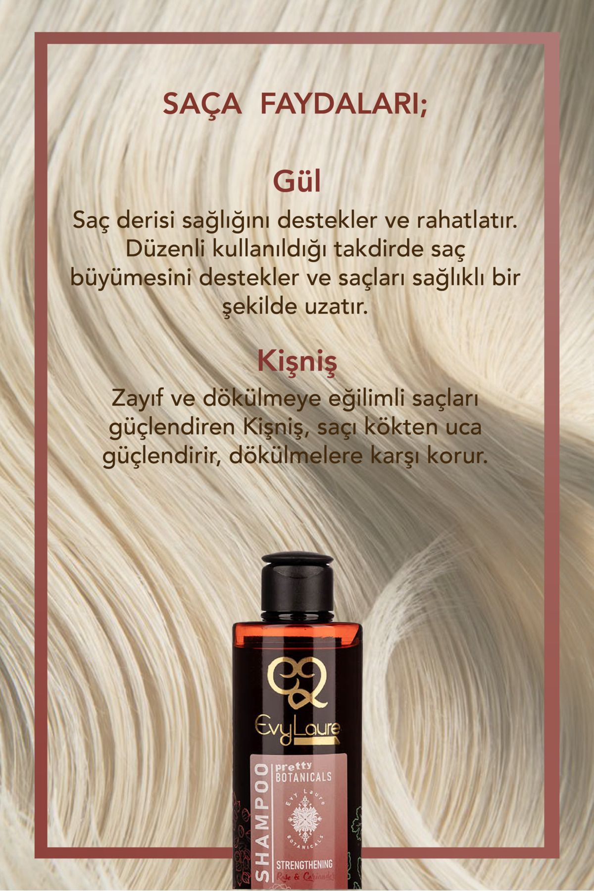 EvyLaure-Rose and Coriander Extract Shampoo - Anti-Dandruff & Moisturizing Botanicals - 225 ml 4