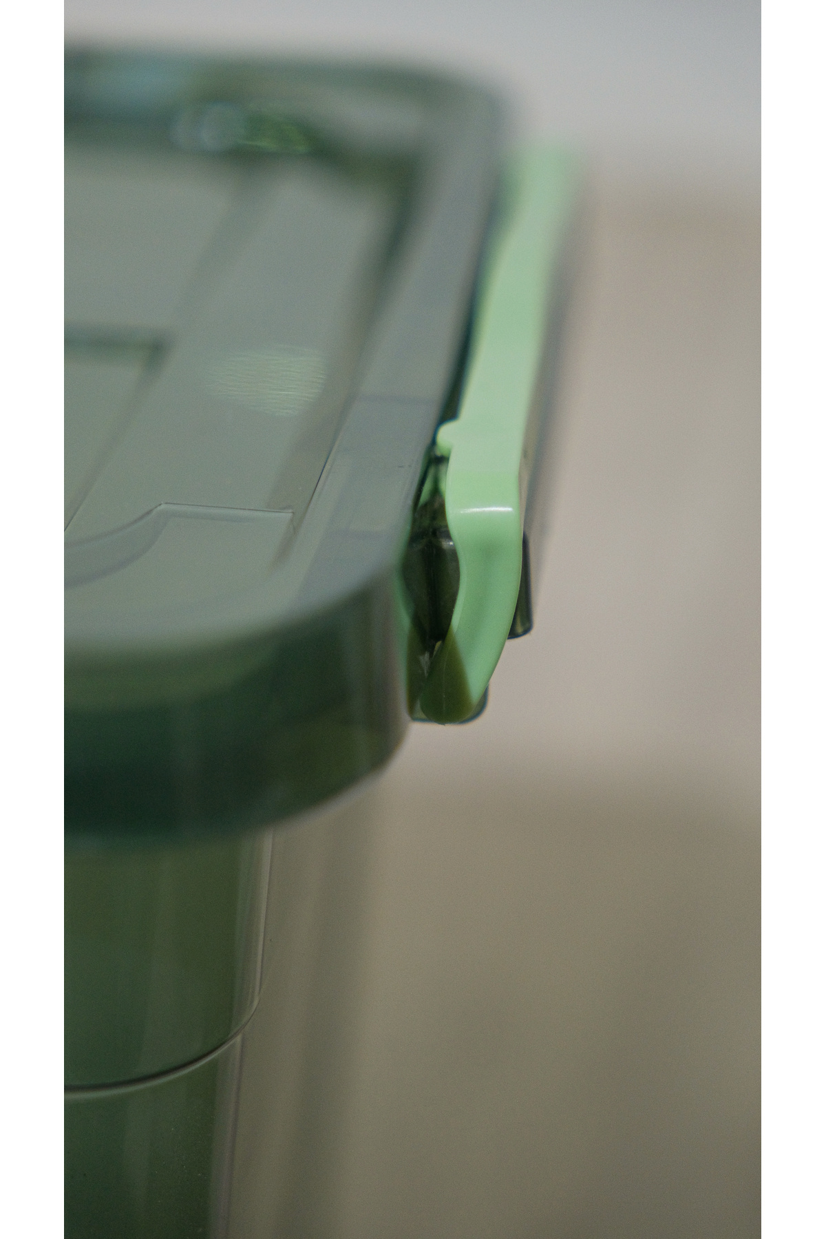 biedda-10 Liter Green Plastic Vertical Deep Storage and Organizing Container with Lock Lid 7