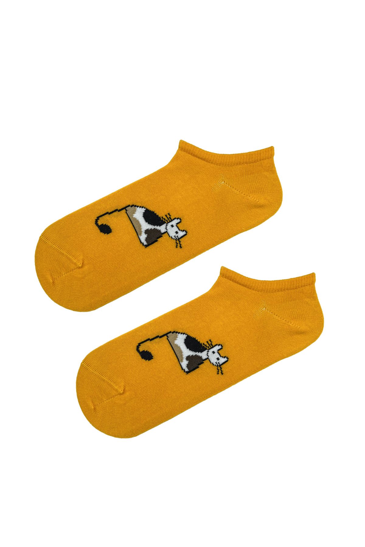 CARNAVAL SOCKS Kedi Desenli Turuncu Renkli Spor Çorap