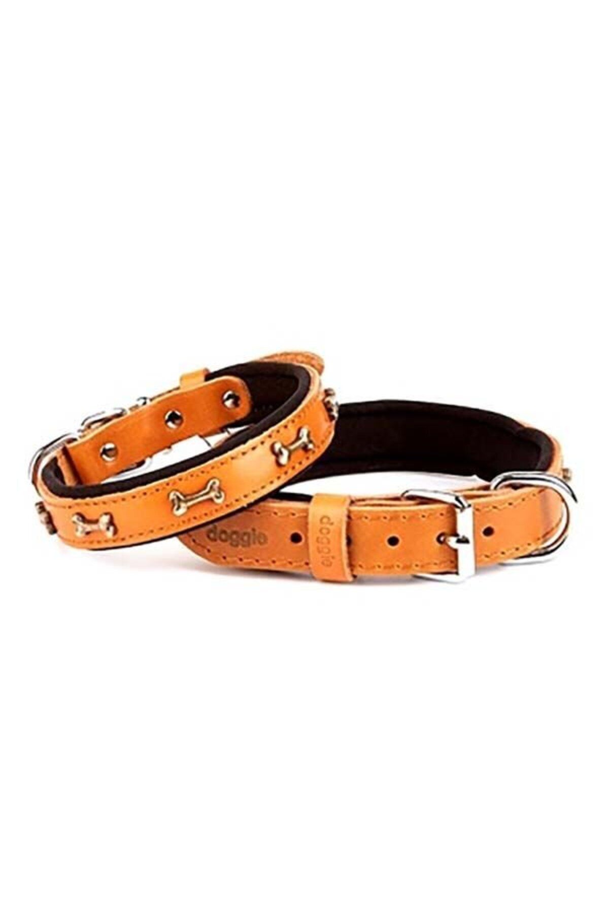 O Dog Doggie Comfort Deri Kemik Süslü Köpek Boyun Tasması Medium Camel 2.5x37-45 Cm - Petshopundan