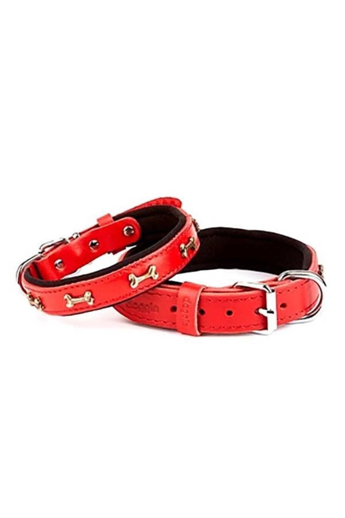 O Dog Doggie Comfort Deri Kemik Süslü Köpek Boyun Tasması Medium Kırmızı 2.5x37-45 Cm - Petshopundan