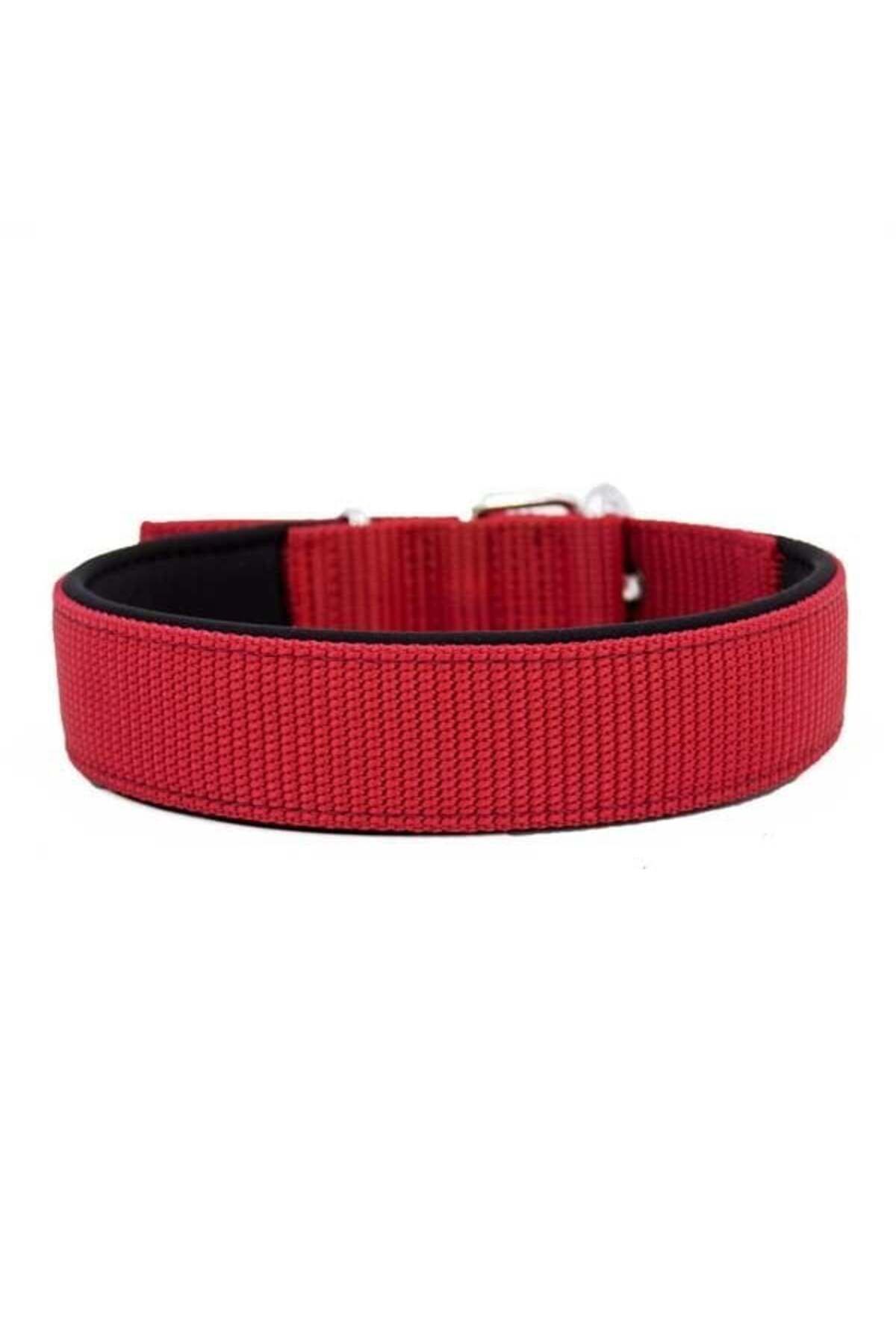 O Dog Doggie Comfort Dokuma Köpek Boyun Tasması Medium Kırmızı 4x52-60 Cm - Petshopundan