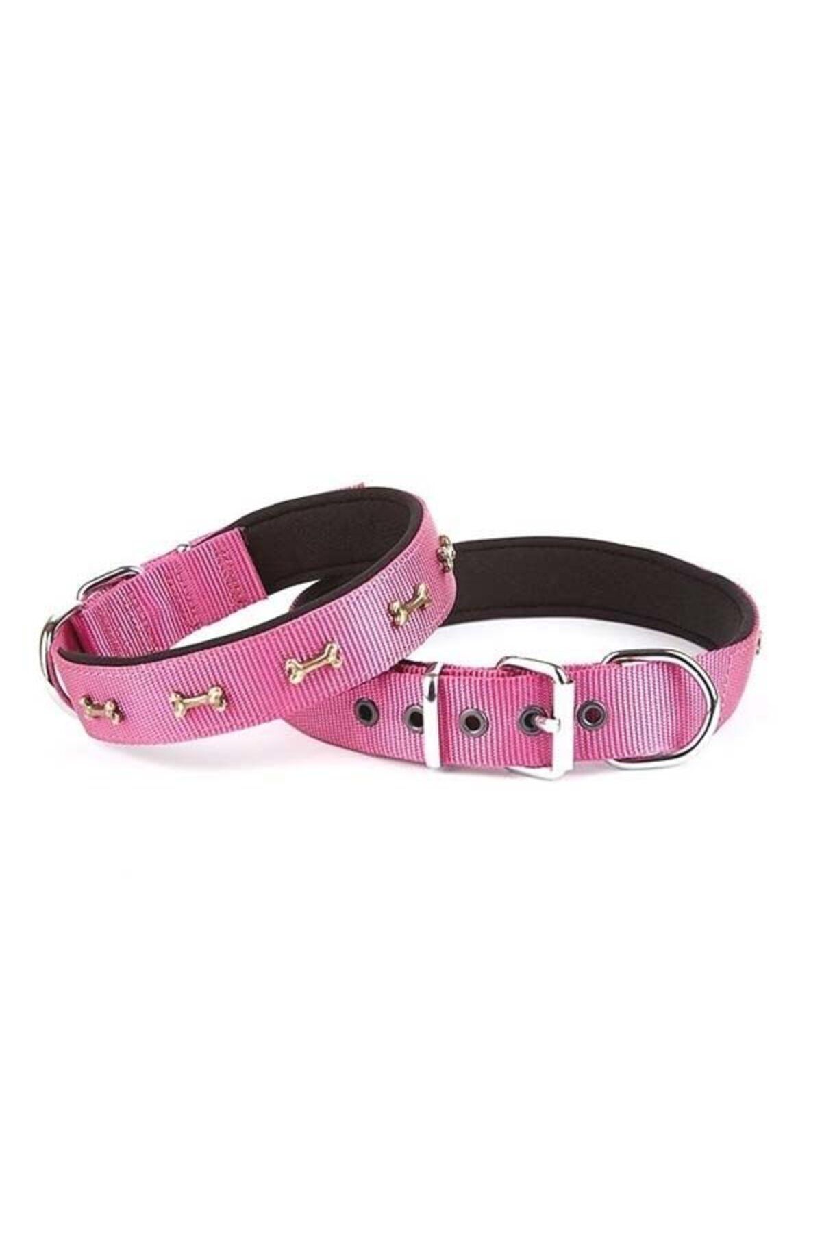 O Dog Doggie Comfort Dokuma Kemikli Köpek Boyun Tasması Medium Mor 2.5x37-45 Cm - Petshopundan