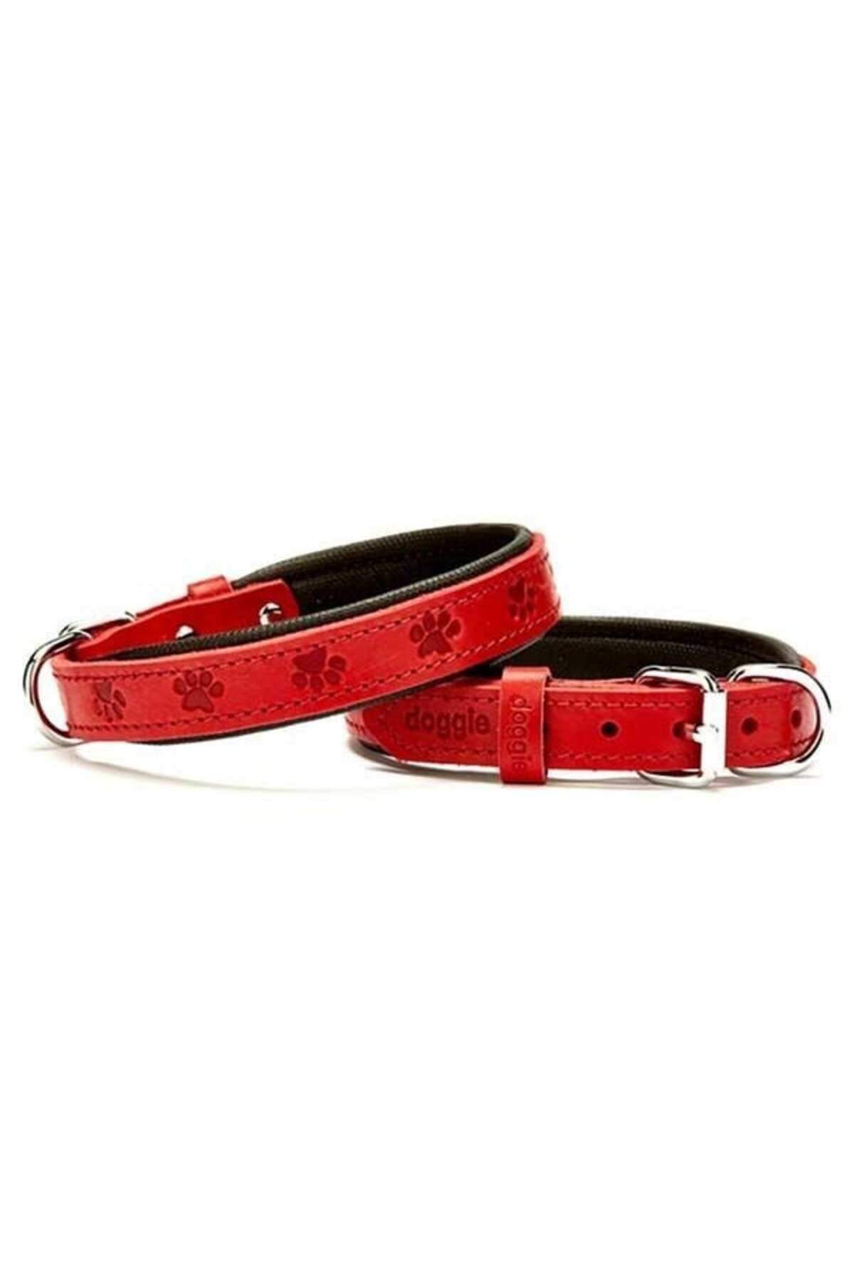 O Dog Doggie Comfort Deri Pati Desenli Köpek Boyun Tasması Medium Kırmızı 2x35-40 Cm - Petshopundan