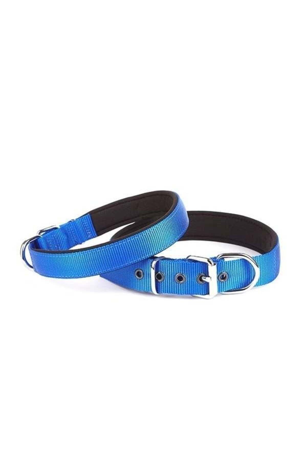 O Dog Doggie Comfort Dokuma Köpek Boyun Tasması Medium Mavi 2.5x37-45 Cm - Petshopundan