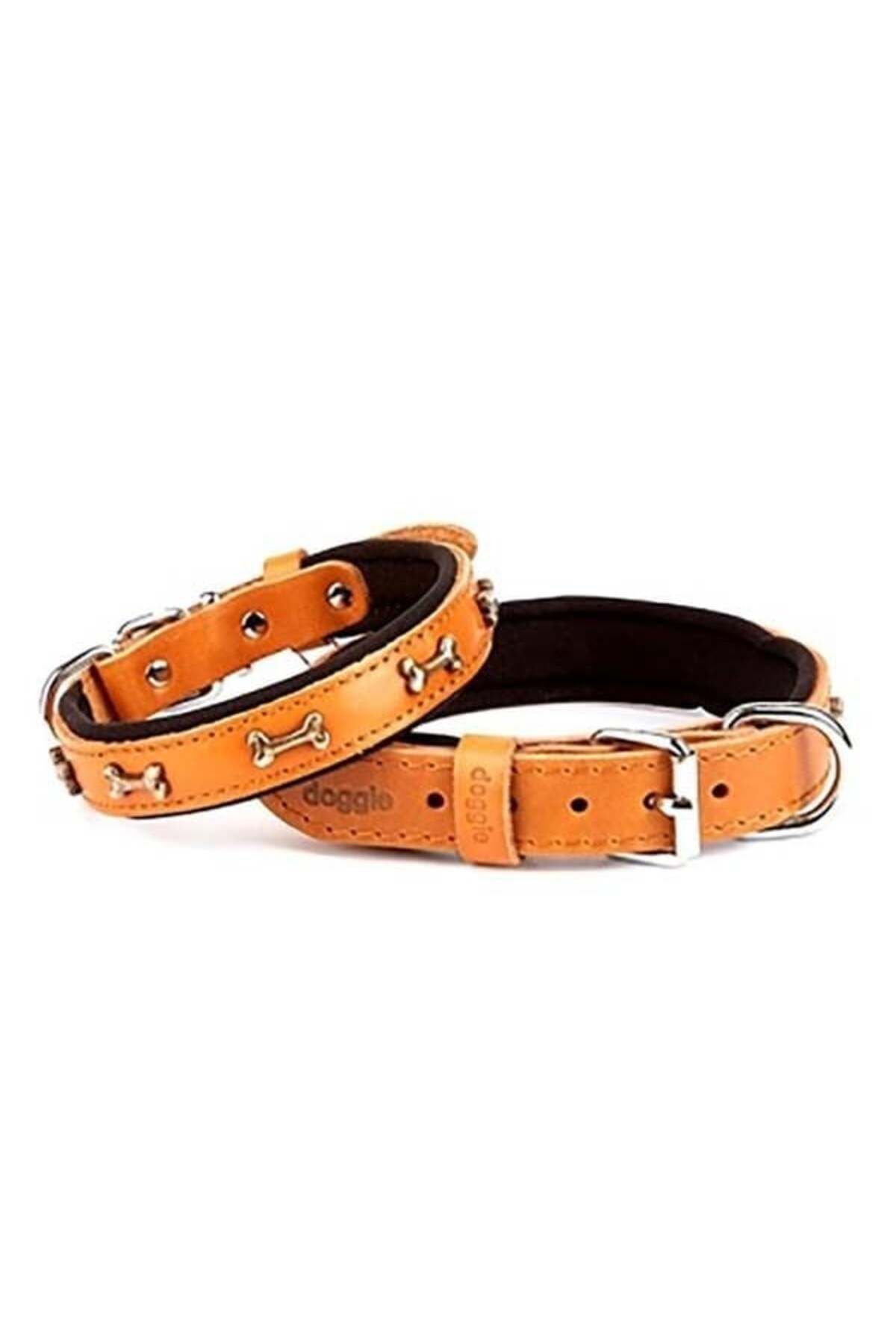 O Dog Doggie Comfort Deri Kemik Süslü Köpek Boyun Tasması Small Camel 2x30-35 Cm - Petshopundan