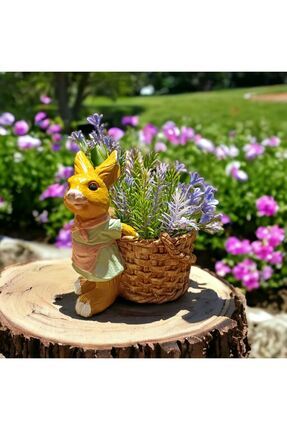 TAŞDEVRİLIFE Tavşan figürlü saksı kız
