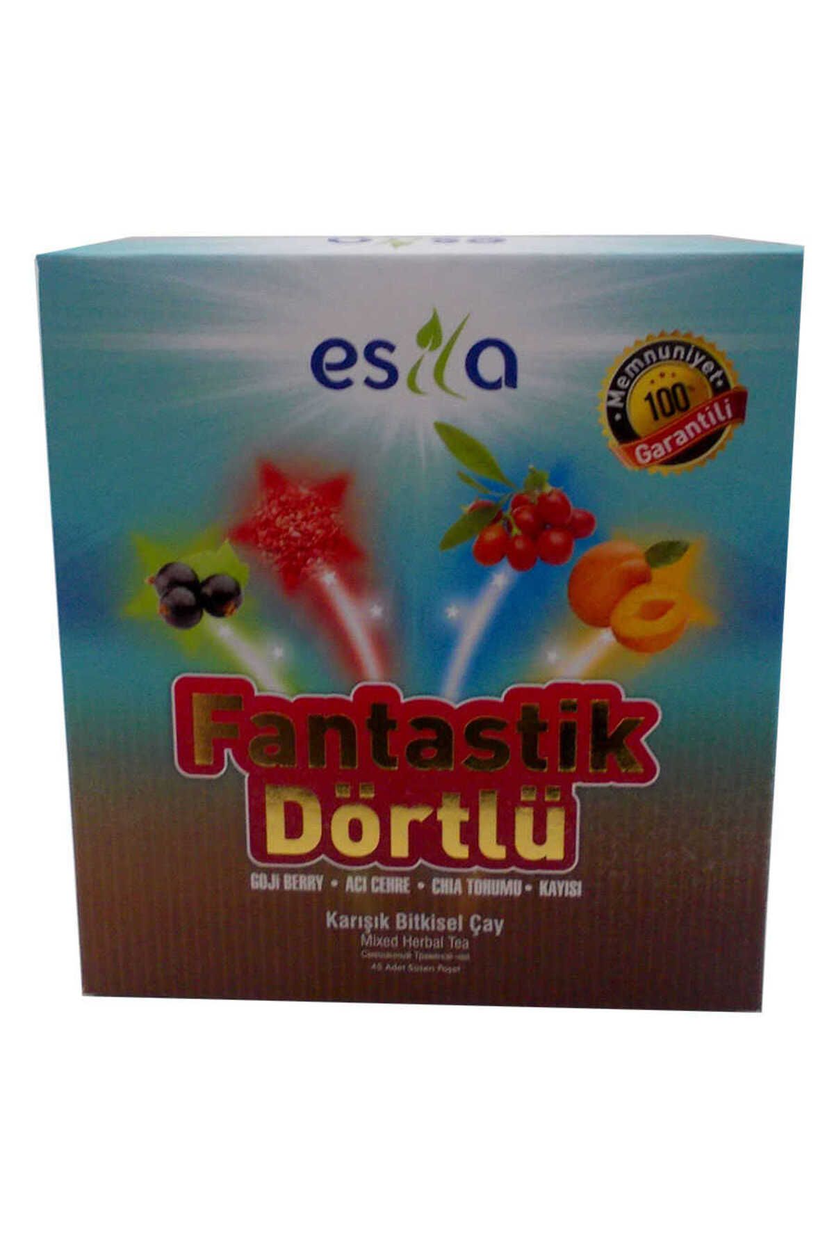 kapsulavm Fantastik Dörtlü Bitkisel Yaz Çayı 45 Süzen Poşet