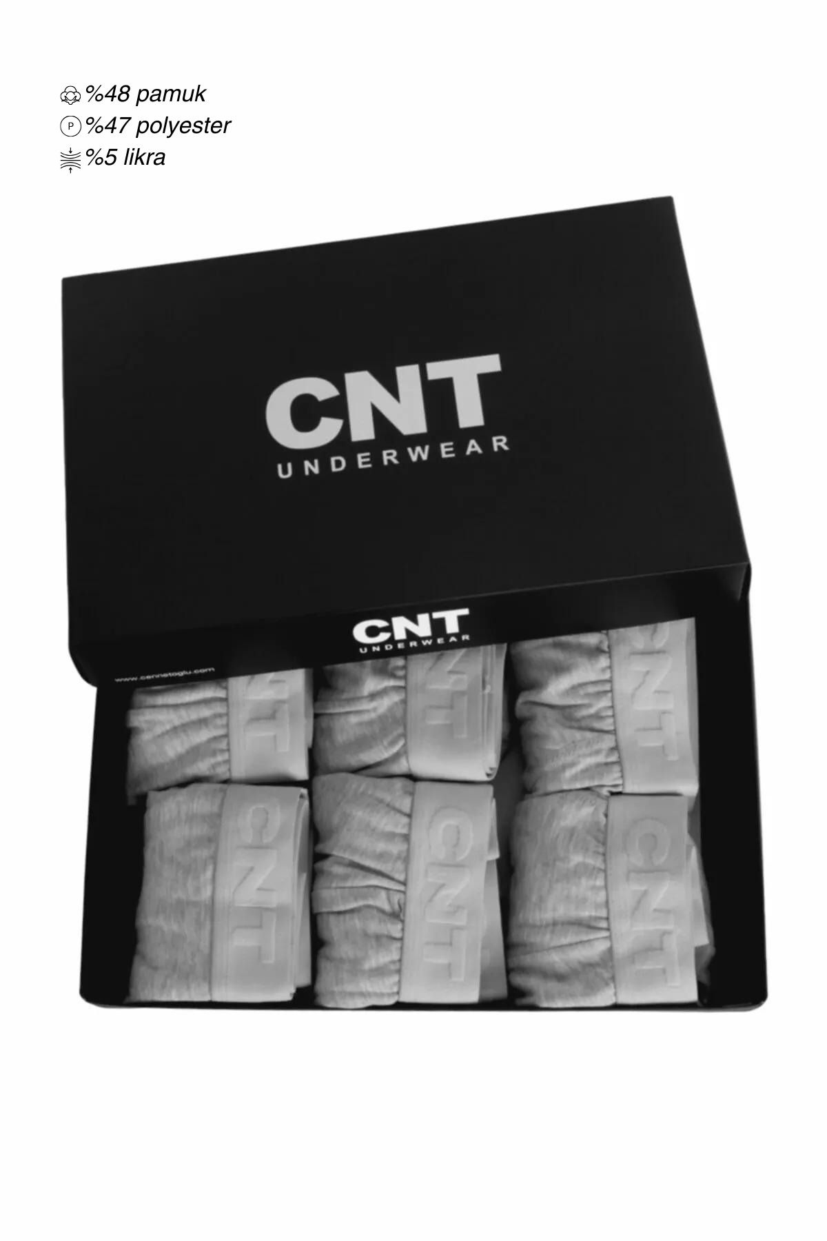 CNT Erkek Slip Külot Likralı 6'lı Premium Paket