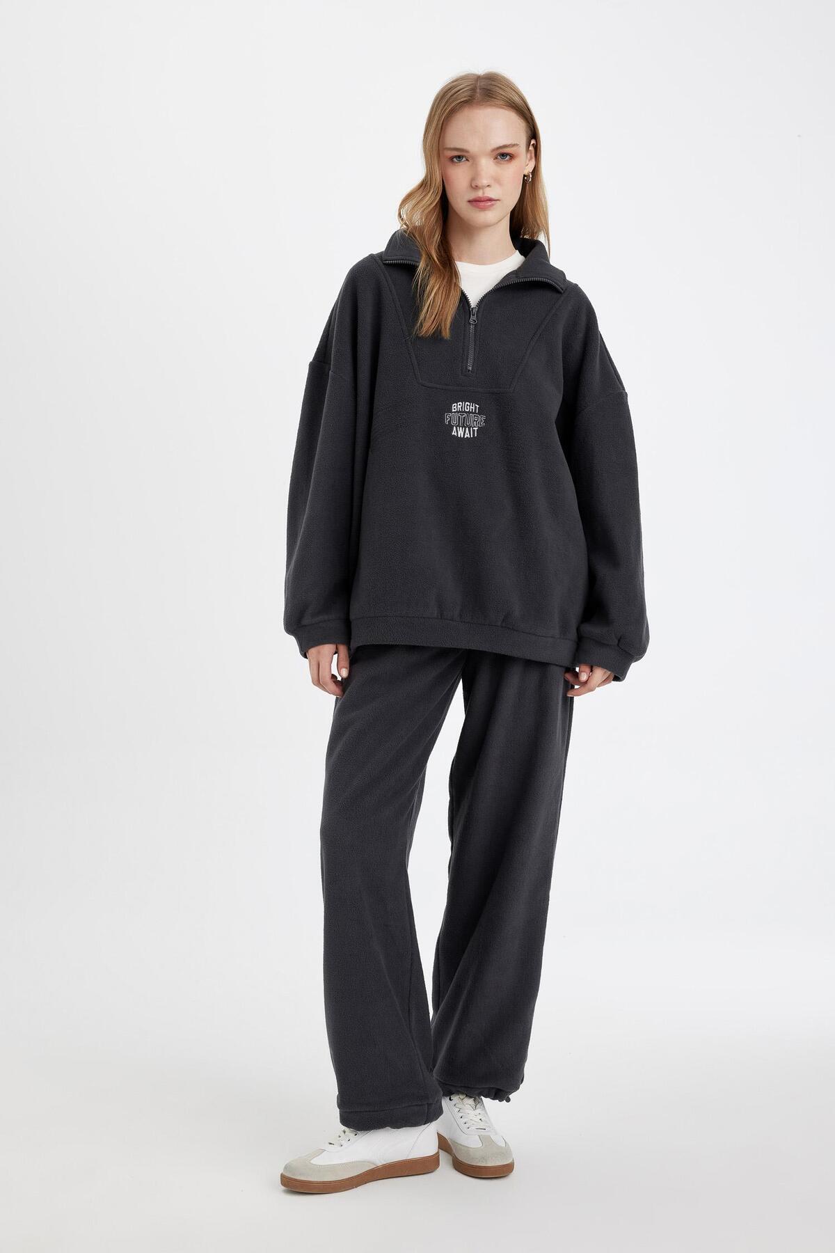 DeFacto-Übergroßes, geripptes, besticktes Fleece-Sweatshirt mit Reißverschluss und Stehkragen 3