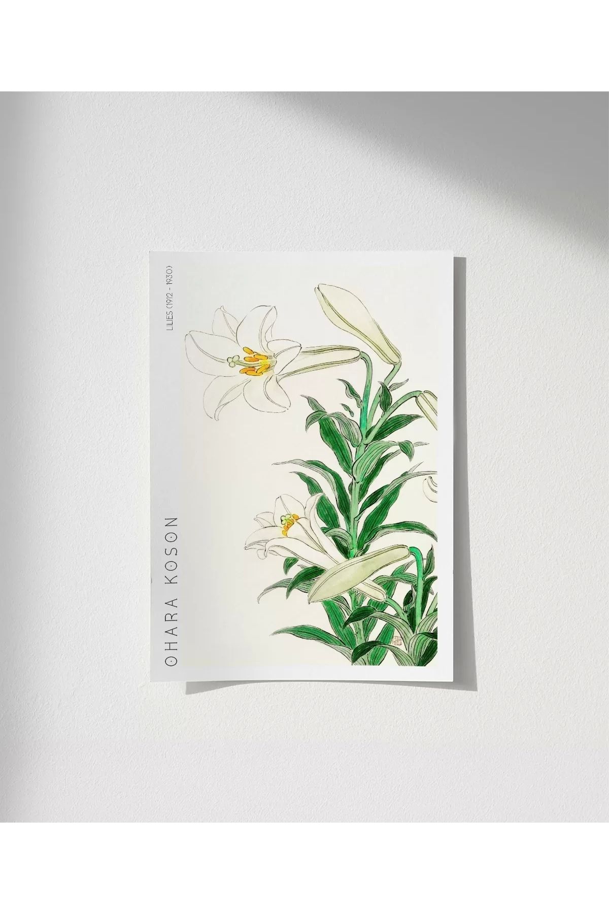 VOGLOO Çerçevesiz Poster Ohara Koson Zambaklar