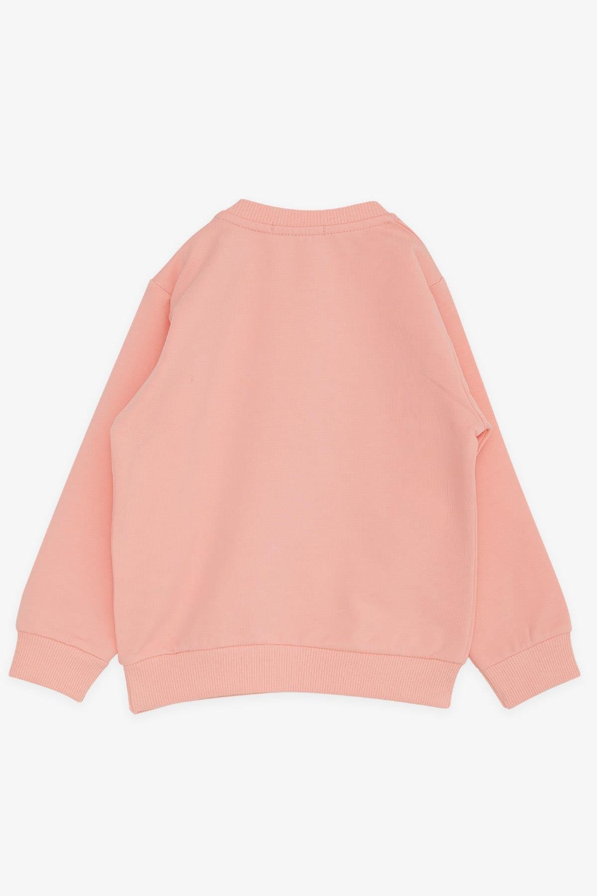 Breeze Kız Çocuk Sweatshirt Havalı Kız Baskılı 1.5-5 Yaş, Somon fotoğrafı 2 (önizleme)