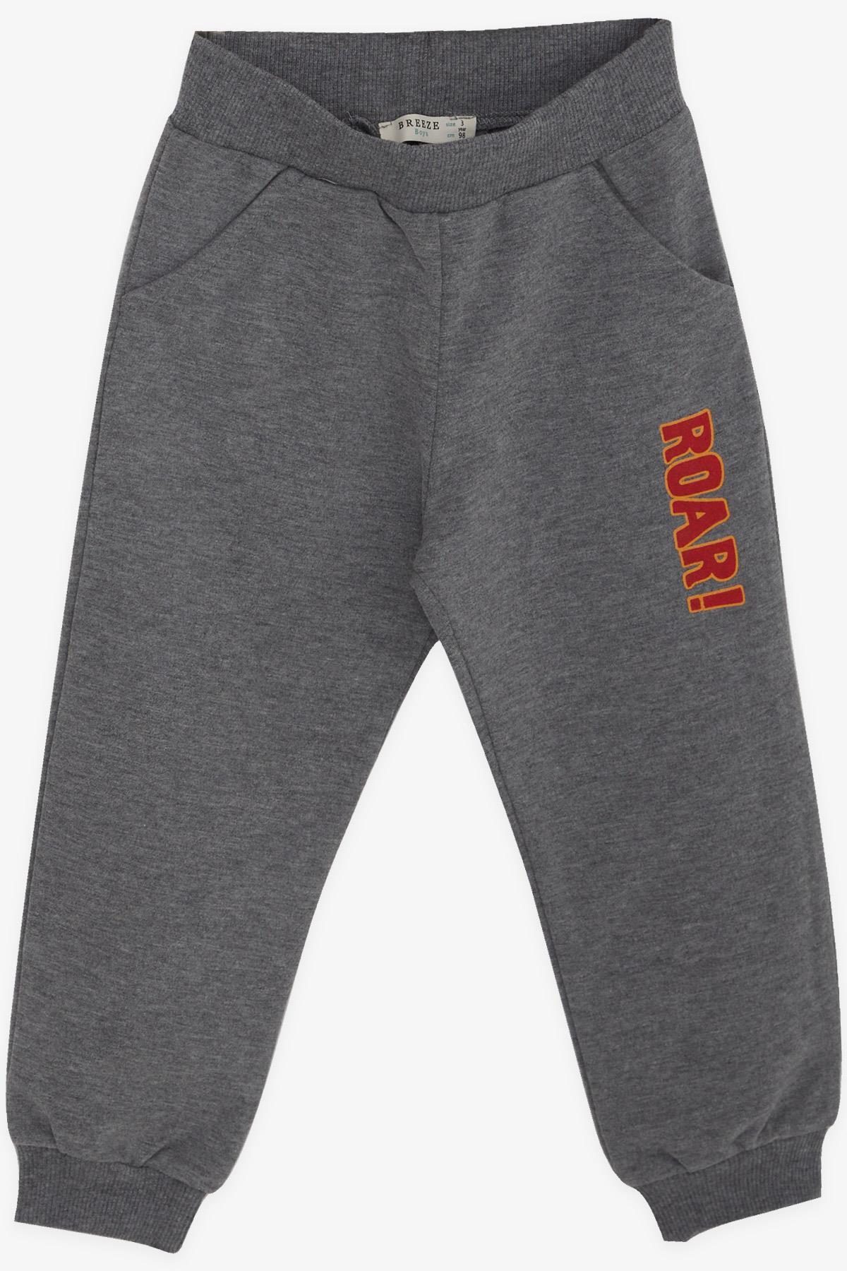 Breeze Erkek Çocuk Eşofman Takımı Dinozor Baskılı 1.5-5 Yaş, Hardal Sarı fotoğrafı 4 (önizleme)