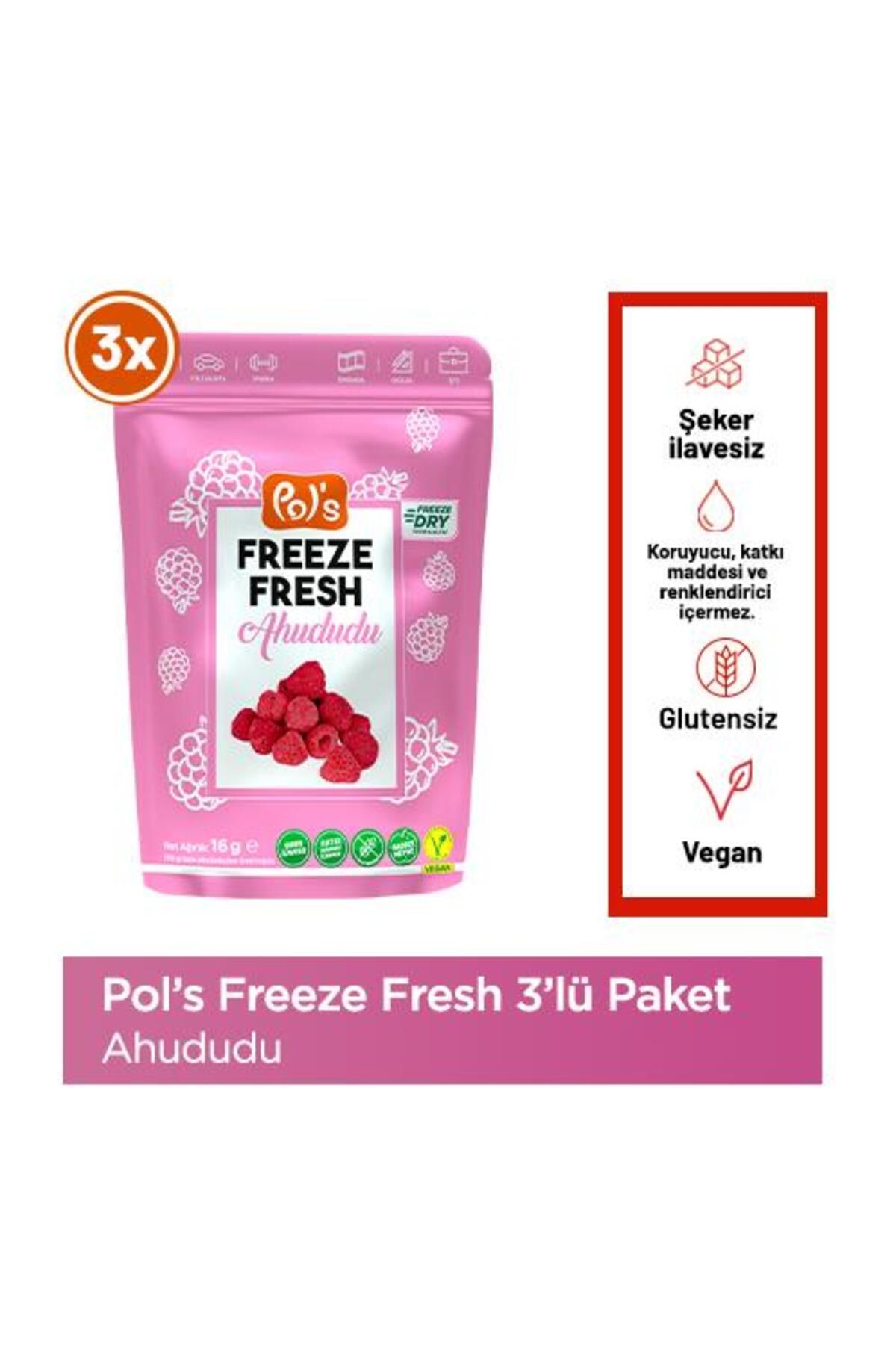 Freeze Fresh Ahududu 16 G X 3 Adet Freeze Dry Dondurularak Kurutulmuş Meyve