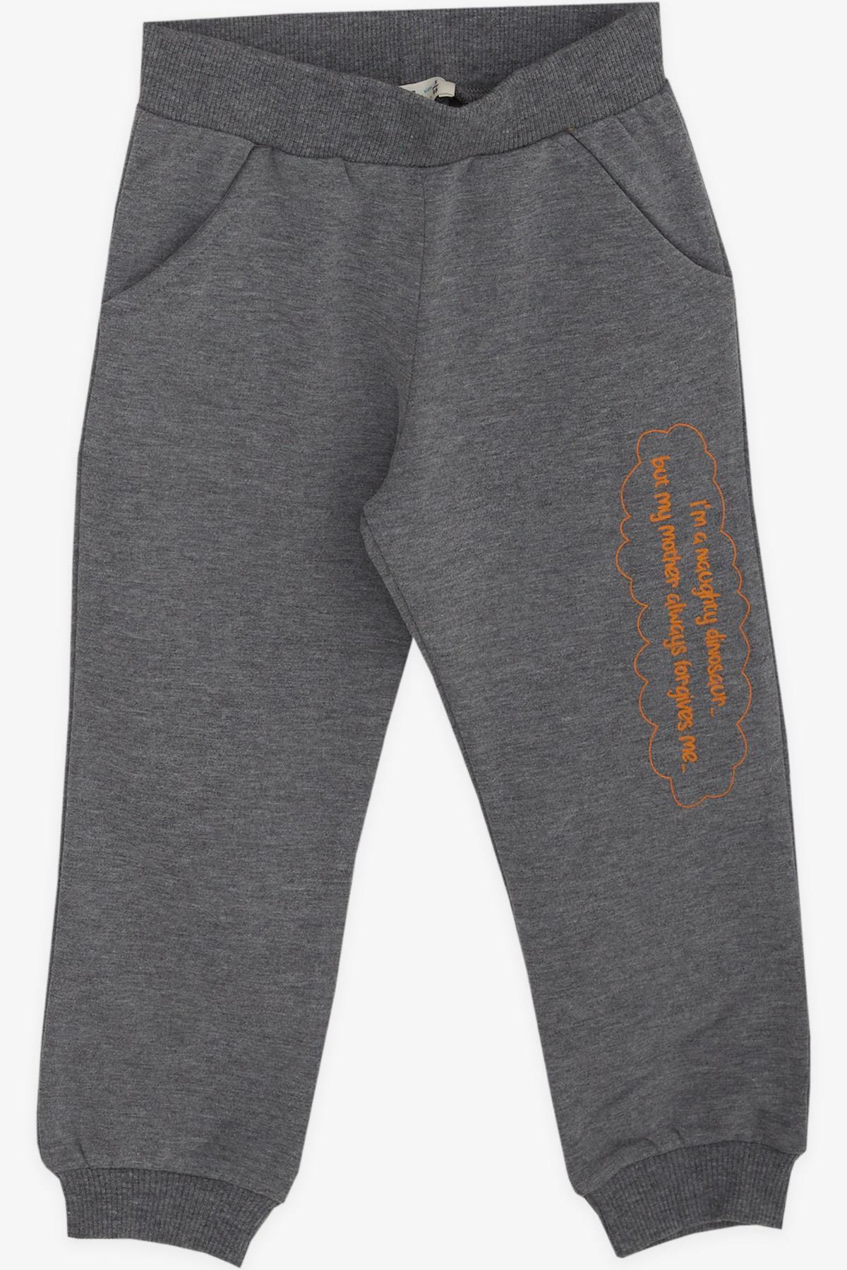 Breeze Erkek Çocuk Eşofman Takımı Dinozor Desenli 1-4 Yaş, Hardal Sarı fotoğrafı 4 (önizleme)