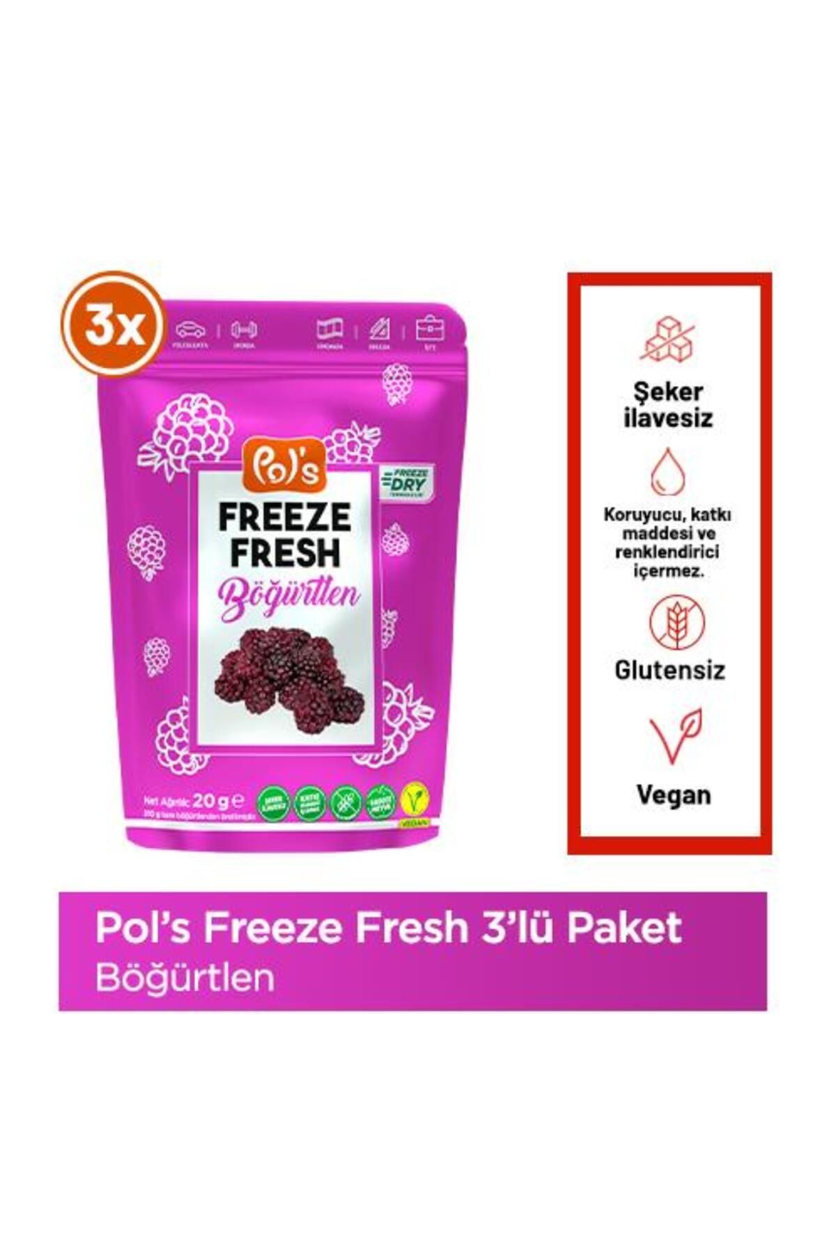 Pol's Freeze Fresh Böğürtlen 20 G X 3 Adet Freeze Dry Dondurularak Kurutulmuş Meyve