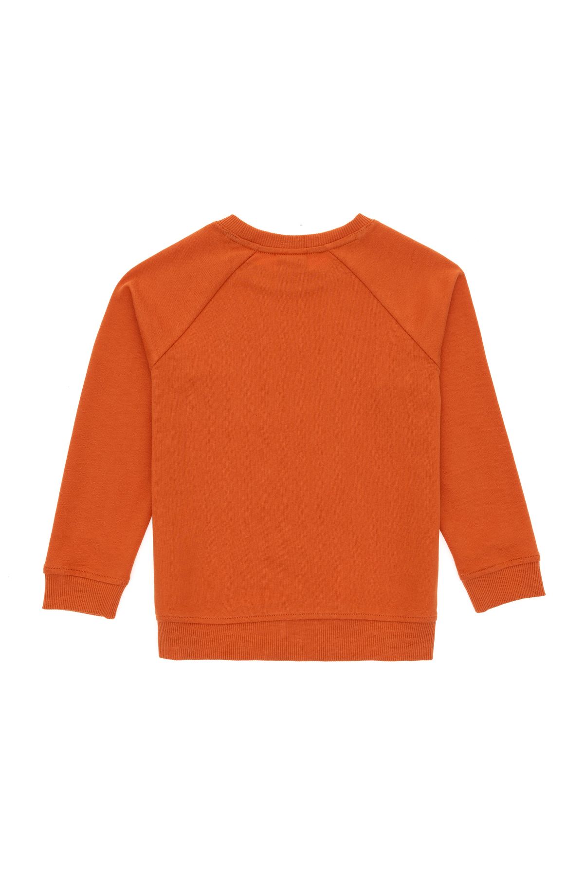 U.S. Polo Assn.-Boys' Cinnamon Basic Crew Neck Sweatshirt 50293633 -Vr191 2