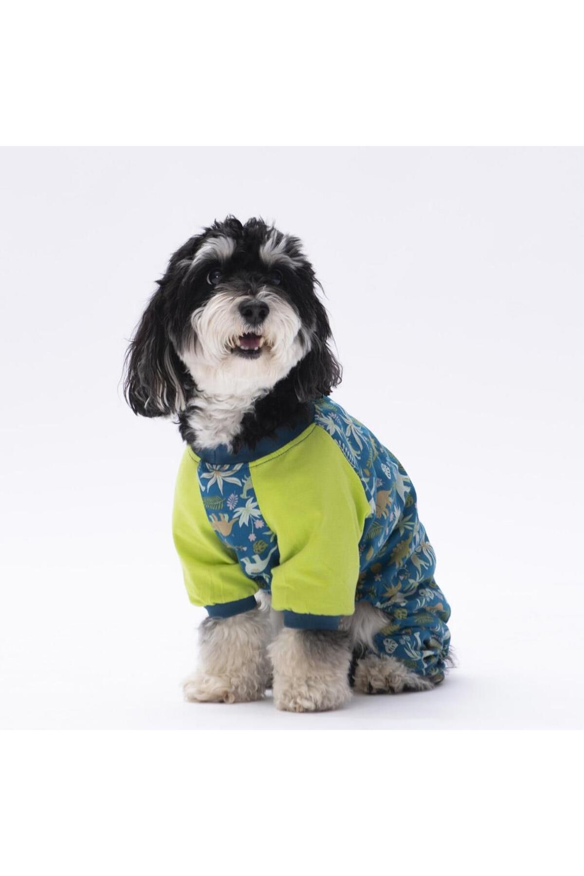 Pawstar-Dinosaur Cat Dog Pajamas Cat Dog Jumpsuit Cat Dog Outfit 2