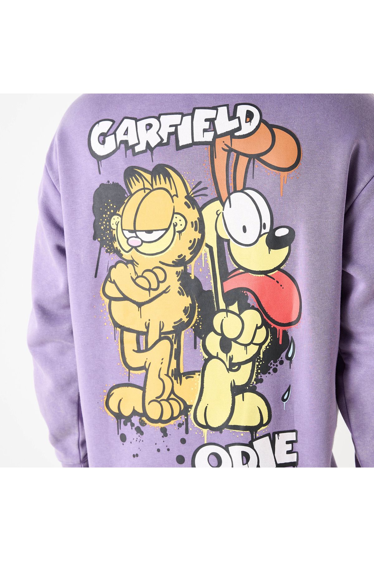 SP Characters-Garfield And Friends Print Hoodie With Kangaroo Pocket 4