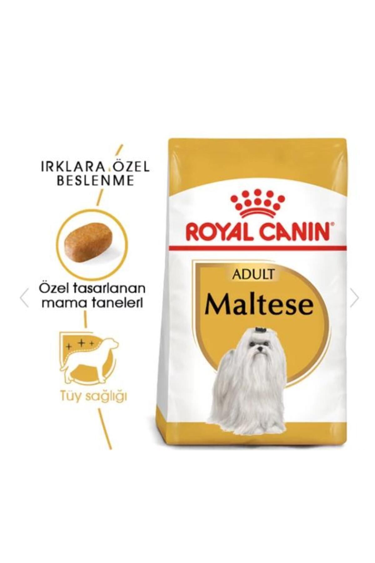 Royal Canin Maltese Terrier Yetişkin Köpek Maması 1,5kg