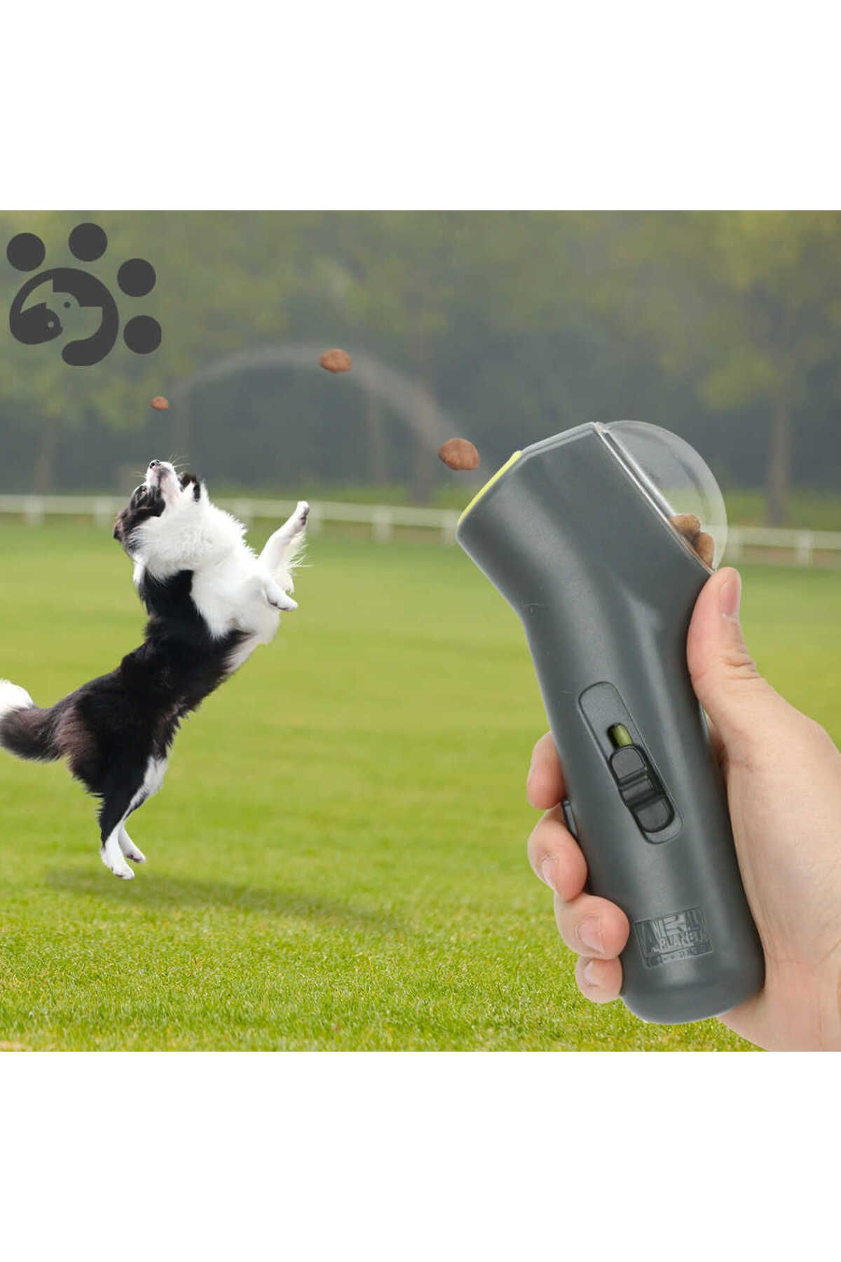 Albayrak Kedi - Köpekler İçin Hazneli Mama Fırlatma Oyuncağı