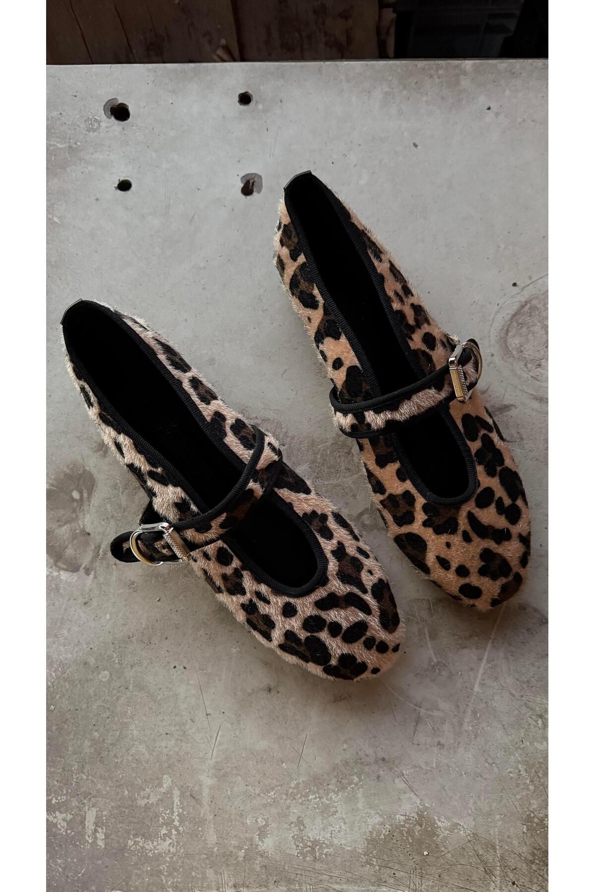 Eataly Shoes Todi Leopard Velvet Flat کفش زنانه