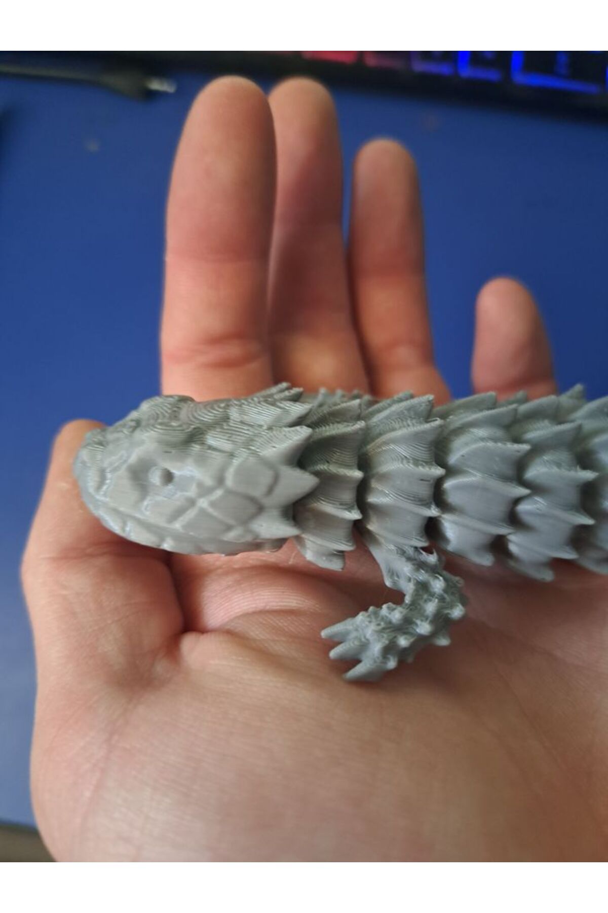 Vision Craft Li Armadillo Kertenkele P756481
