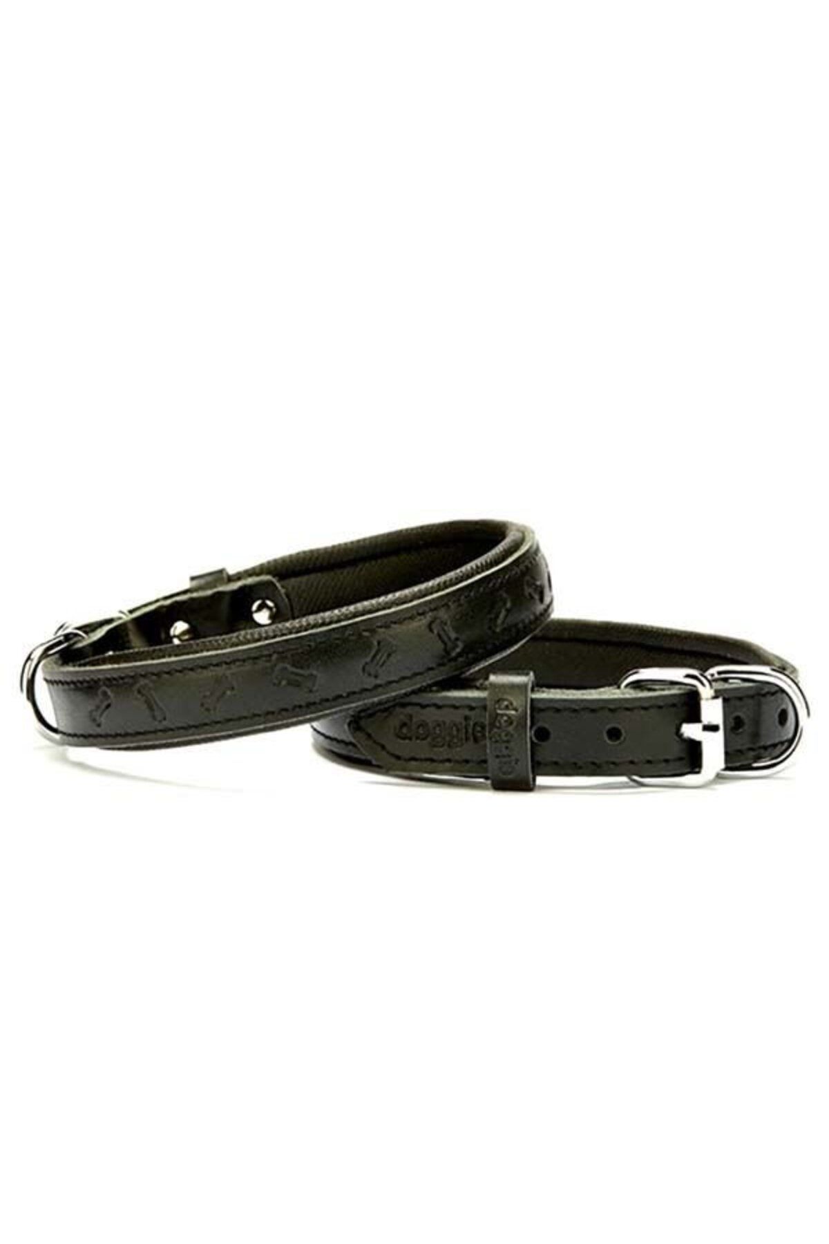 O Dog Doggie Comfort Deri Kemik Desenli Köpek Boyun Tasması Medium Siyah 2x35-40 Cm - Petshopundan