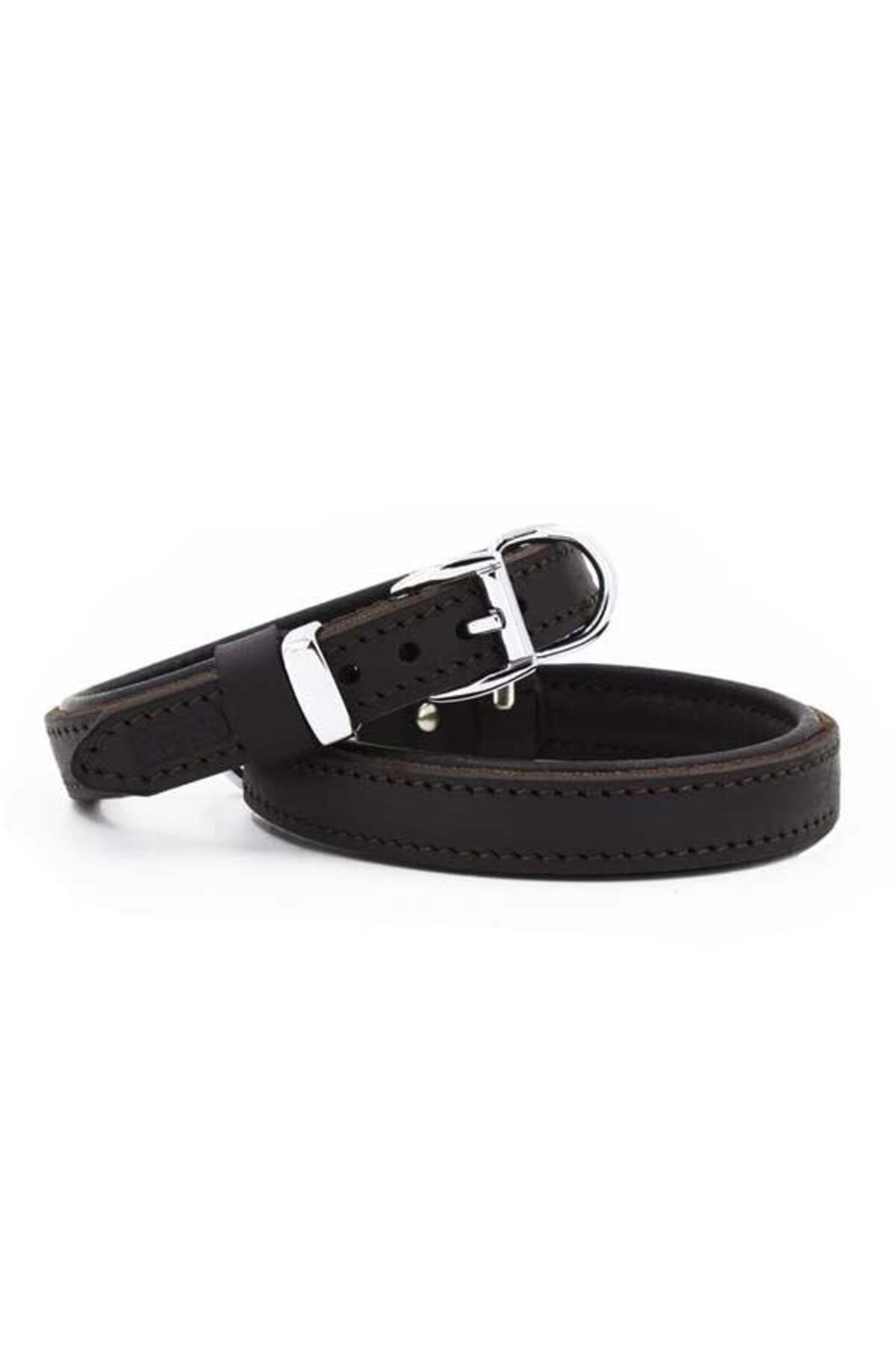 O Dog Doggie Yağlı Deri Köpek Boyun Tasması Medium Kahverengi 2x35-40 Cm - Petshopundan