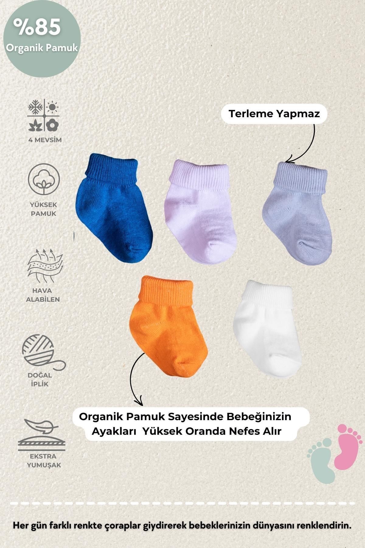 poffibaby Organik Pamuk Unisex 5'li Kutulu Premium Yenidoğan Bebek Çorabı fotoğrafı 3 (önizleme)