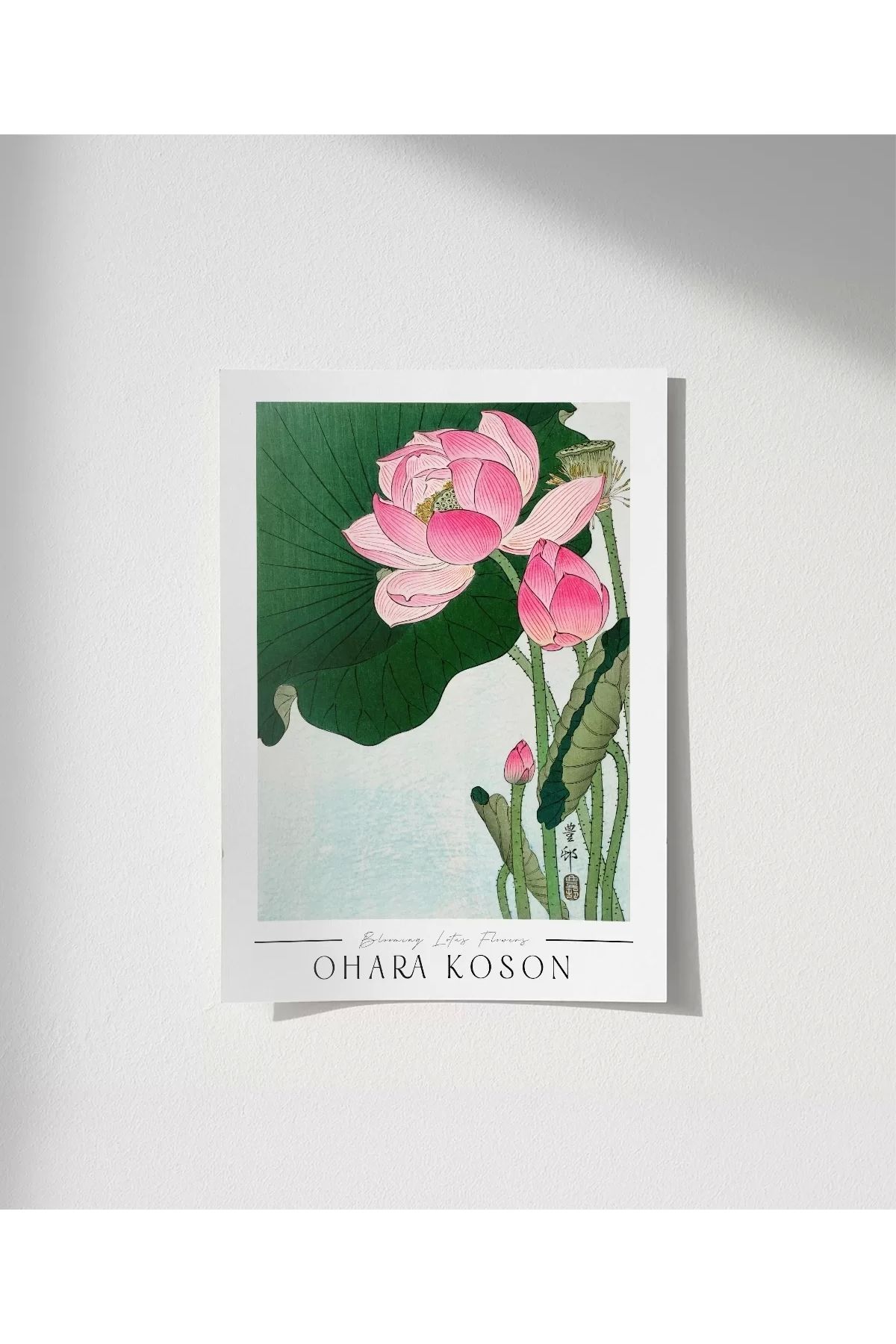 VOGLOO Çerçevesiz Poster Ohara Koson Çiçek Açan Lotus Çiçekleri