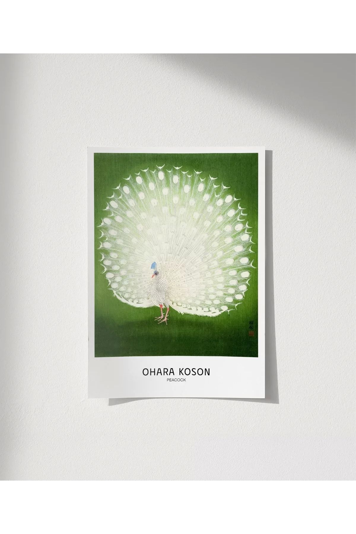 VOGLOO Çerçevesiz Poster Ohara Koson Tavuskuşu