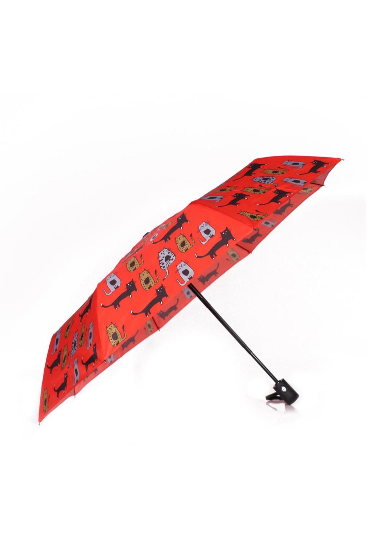 Biggdesign-Automatic Umbrella Full Cat 3