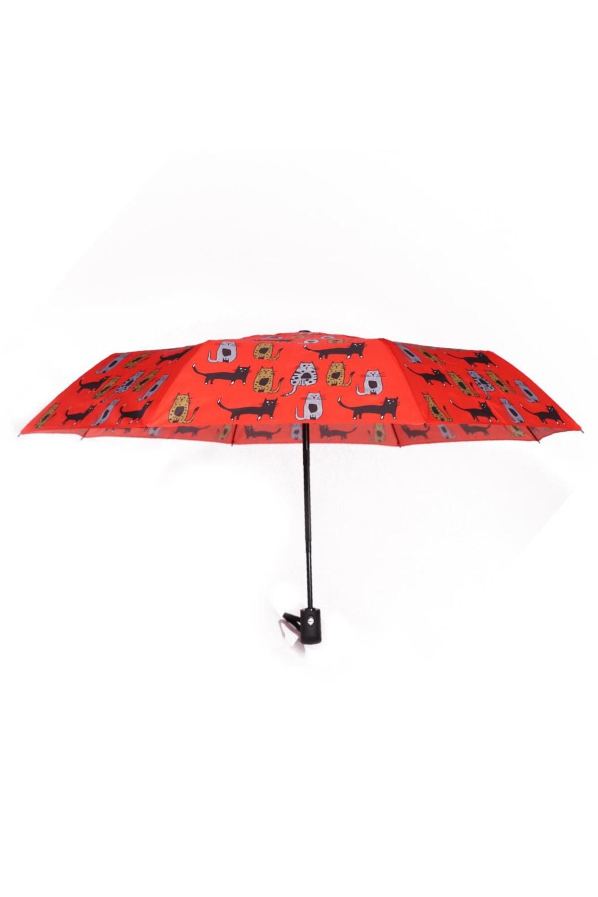 Biggdesign-Automatic Umbrella Full Cat 4