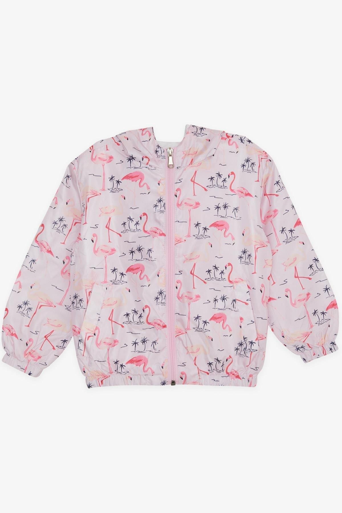 Breeze Kız Çocuk Yağmurluk Sevimli Flamingo Desenli 1-5 Yaş, Pudra fotoğrafı 5 (önizleme)