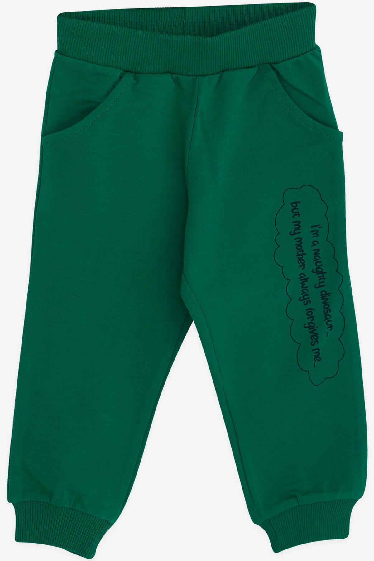 Breeze Erkek Çocuk Eşofman Takımı Dinozor Desenli 1-4 Yaş, Lacivert fotoğrafı 4 (önizleme)