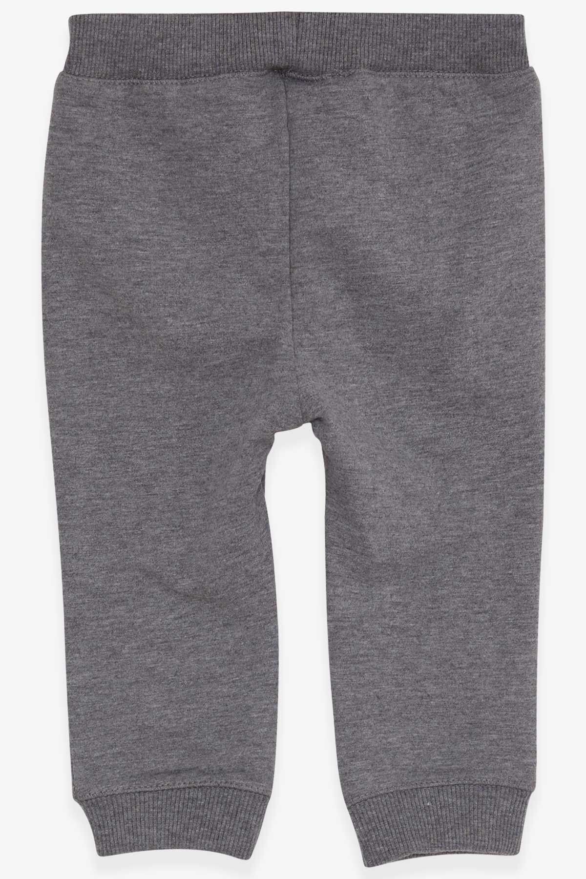 Breeze-Baby Boy Sweatpants with Text Printed, 9 Months-3 Years, Gray Melange 2