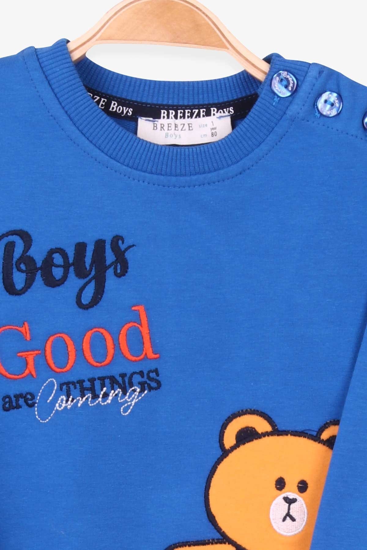 Breeze Erkek Bebek Eşofman Takım Ayı Nakışlı 9 Ay-3 Yaş, Saks Mavisi fotoğrafı 3 (önizleme)