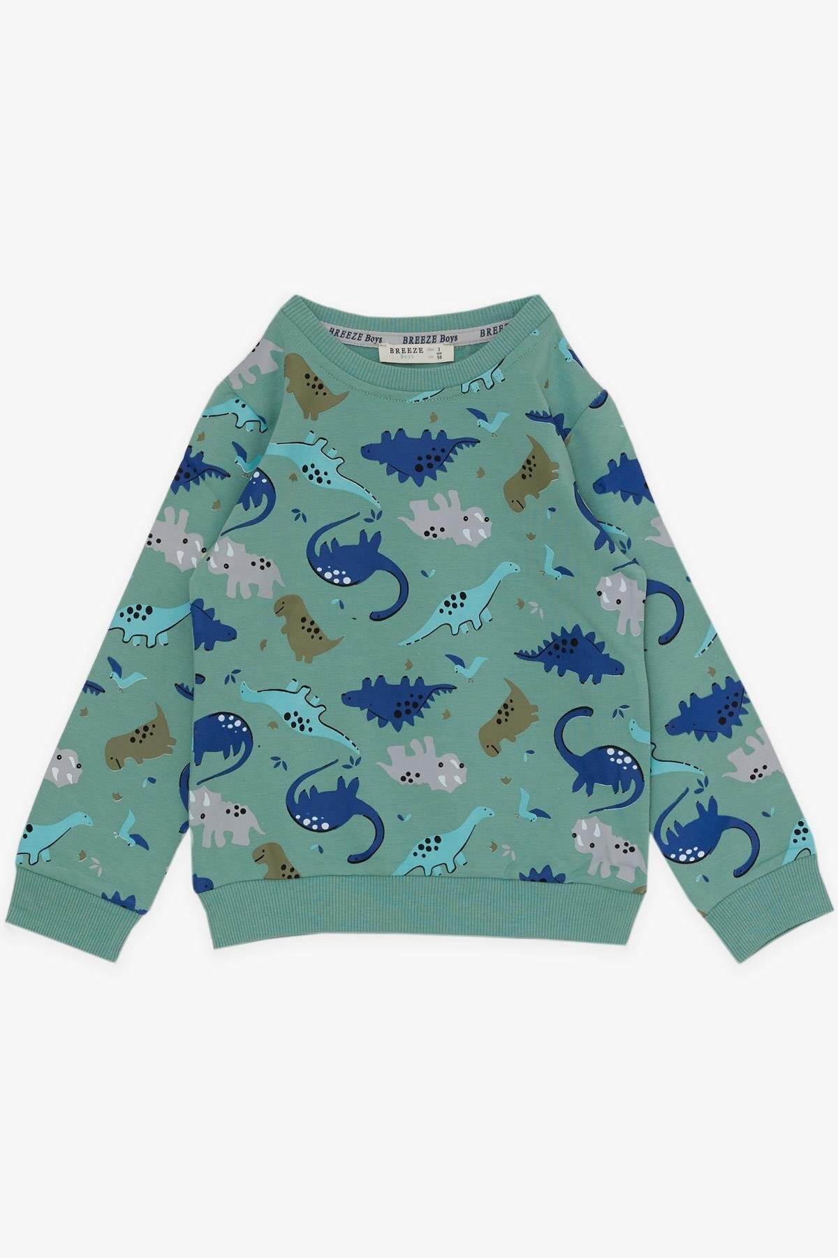 Breeze Girls & Boys Erkek Çocuk Eşofman Takımı Dinozor Desenli 1-4 Yaş, Mint Yeşili fotoğrafı 5 (önizleme)