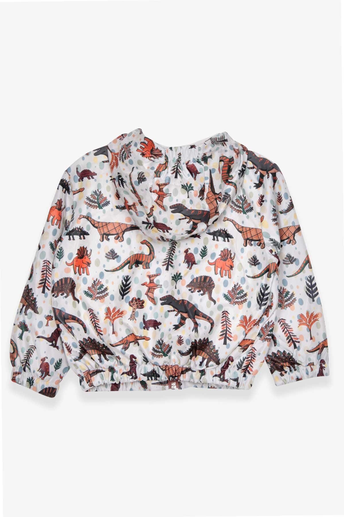 Breeze Erkek Çocuk Yağmurluk Dinozor Desenli 1-5 Yaş, Karışık Renk fotoğrafı 2 (önizleme)