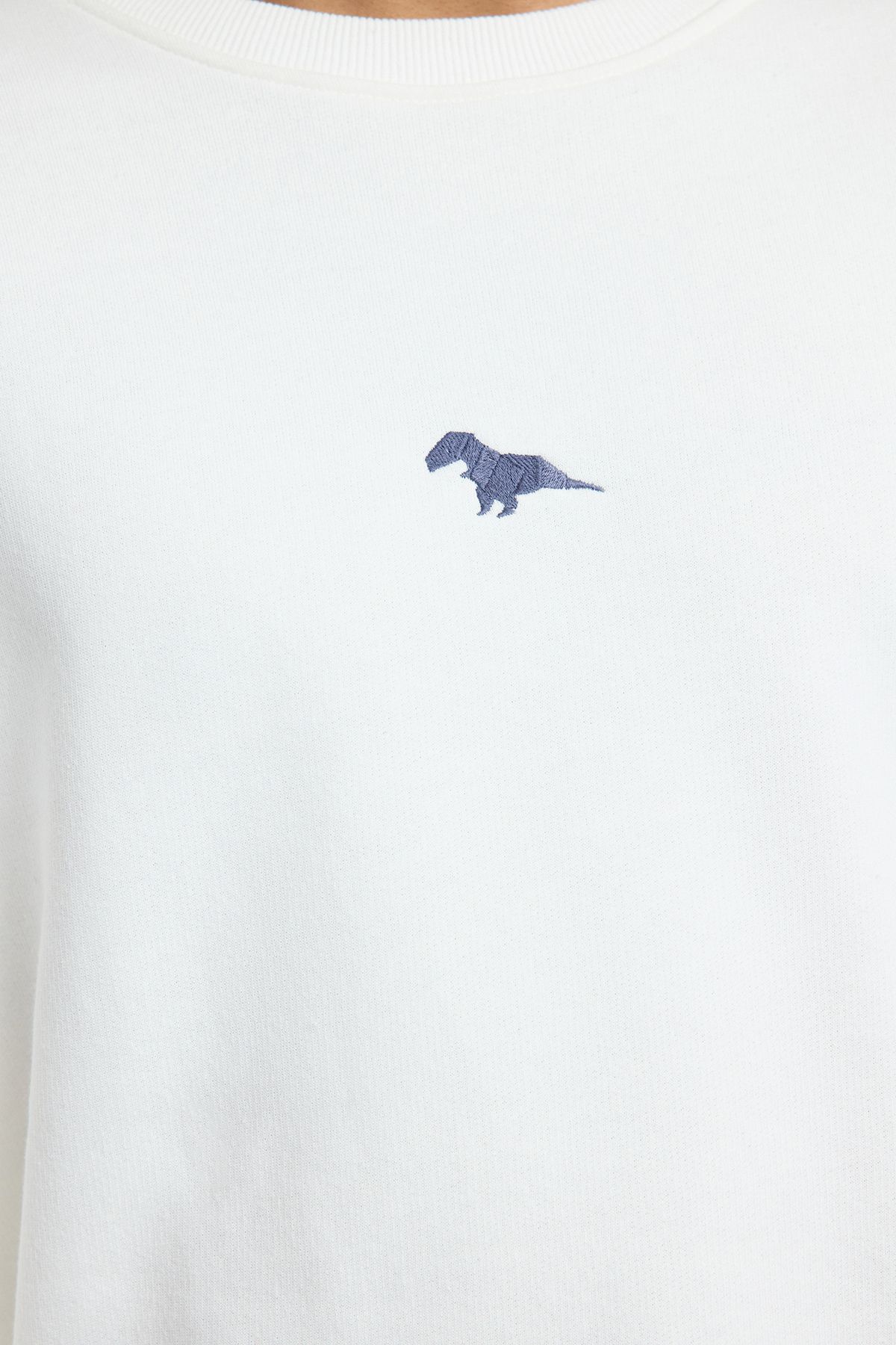 Trendyol Collection-Ecru Crew Neck Oversize/Wide Cut Fleece Inside Dinosaur Embroidery Sweatshirt Tmnaw24Sw00064 4