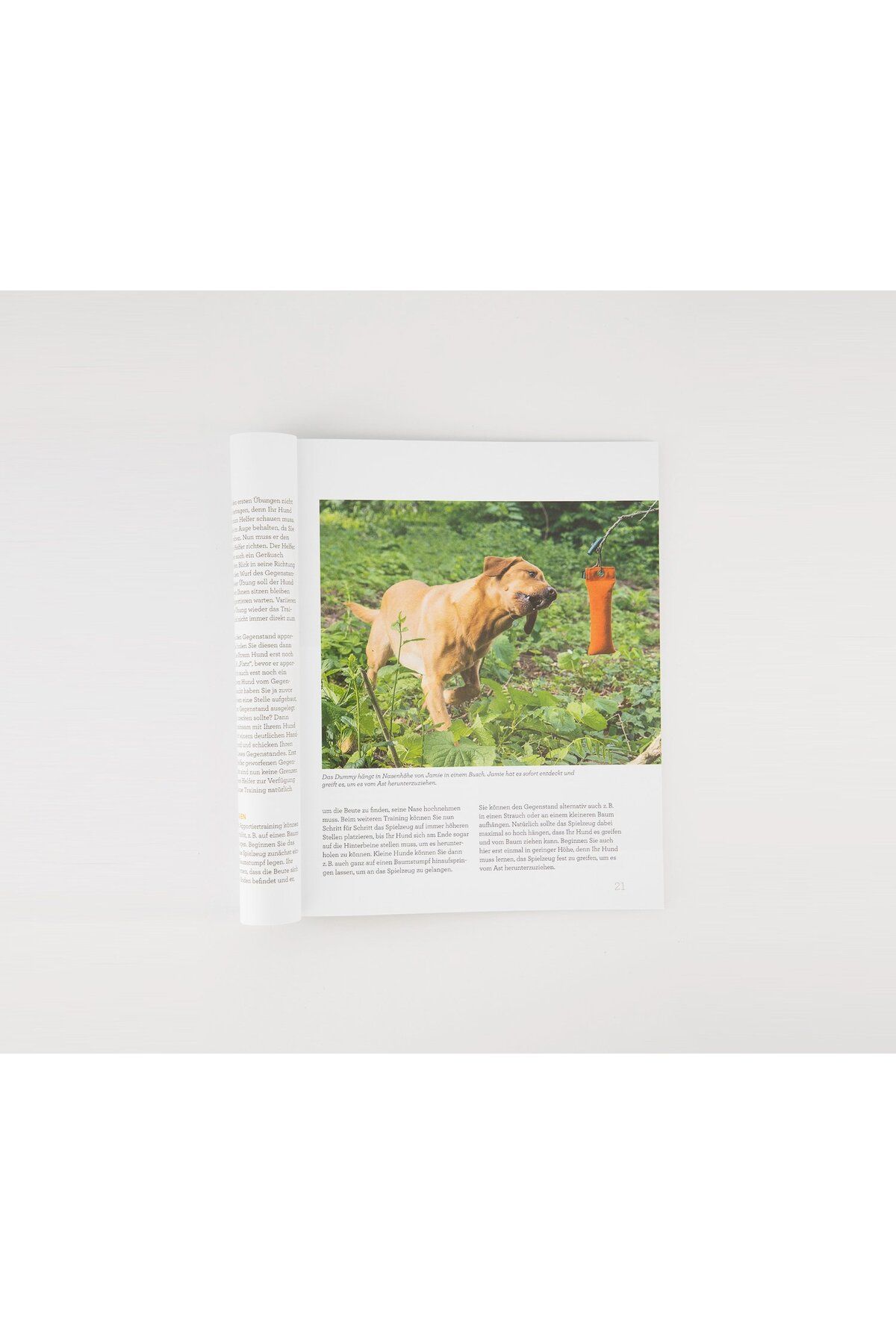 Tchibo-Martin Rutter Book, Green 3