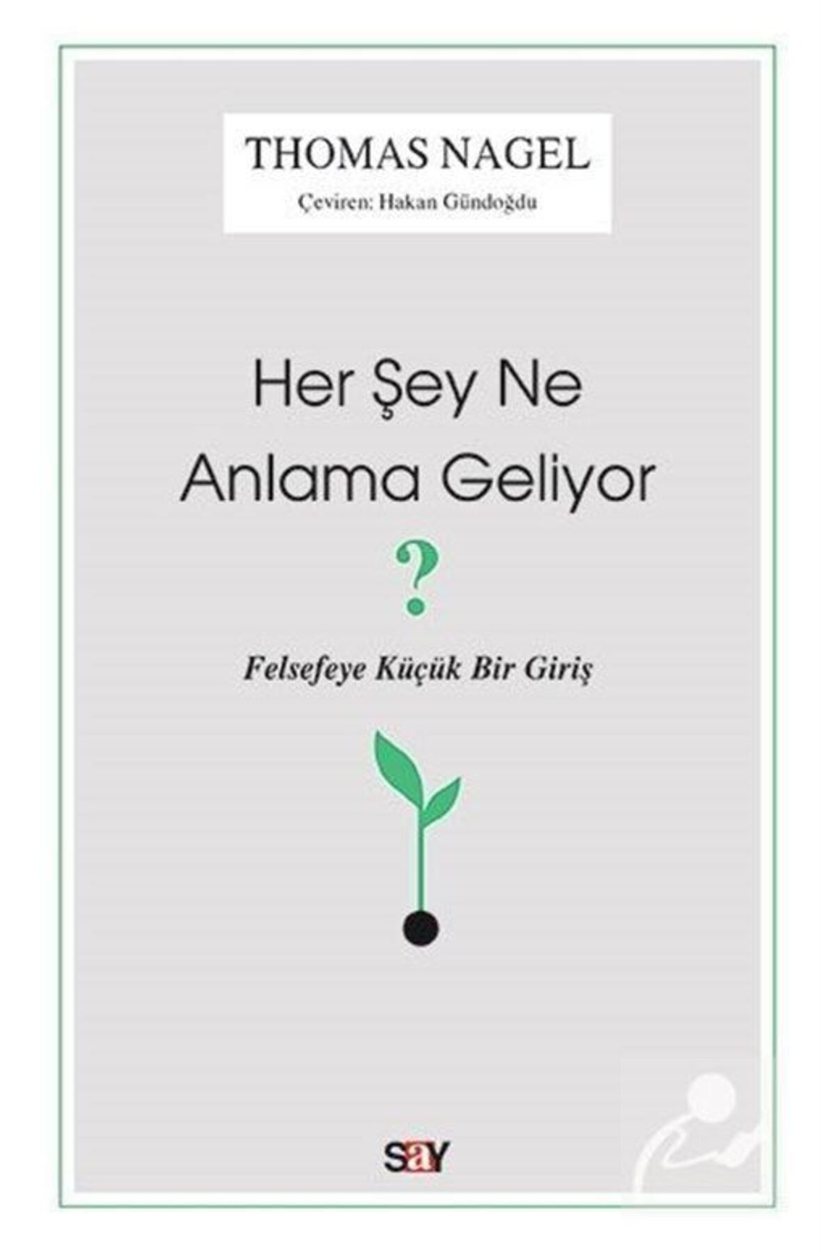 Say Yayınları Her Şey Ne Anlama Geliyor & Felsefeye Küçük Bir Giriş