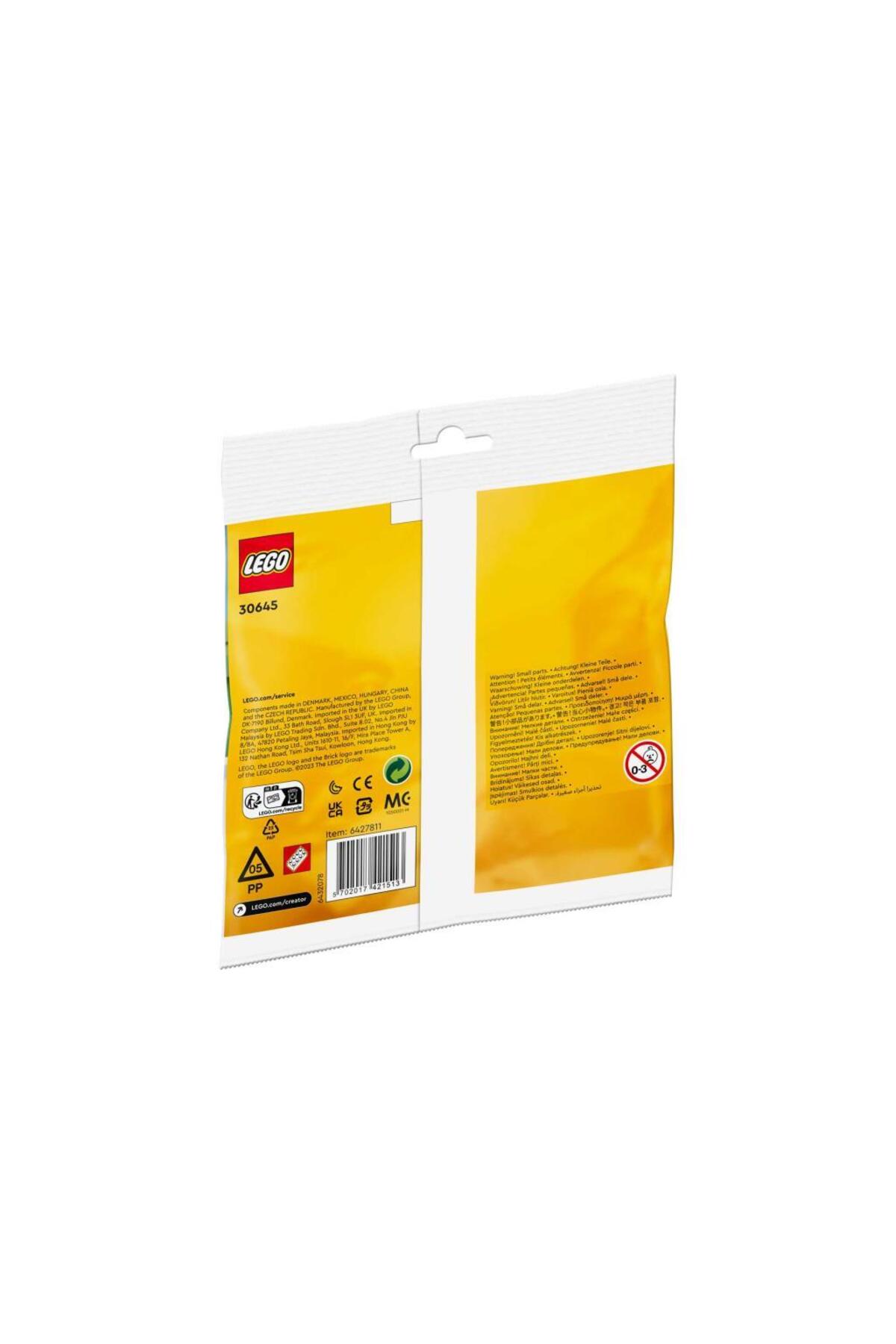 LEGO Creator 30645 Snowman fotoğrafı 2 (önizleme)