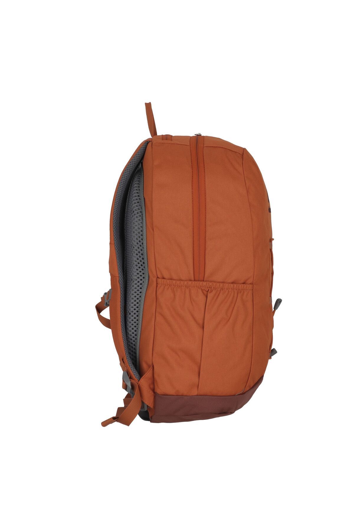 Deuter-Gogo Daypack 46 cm 3
