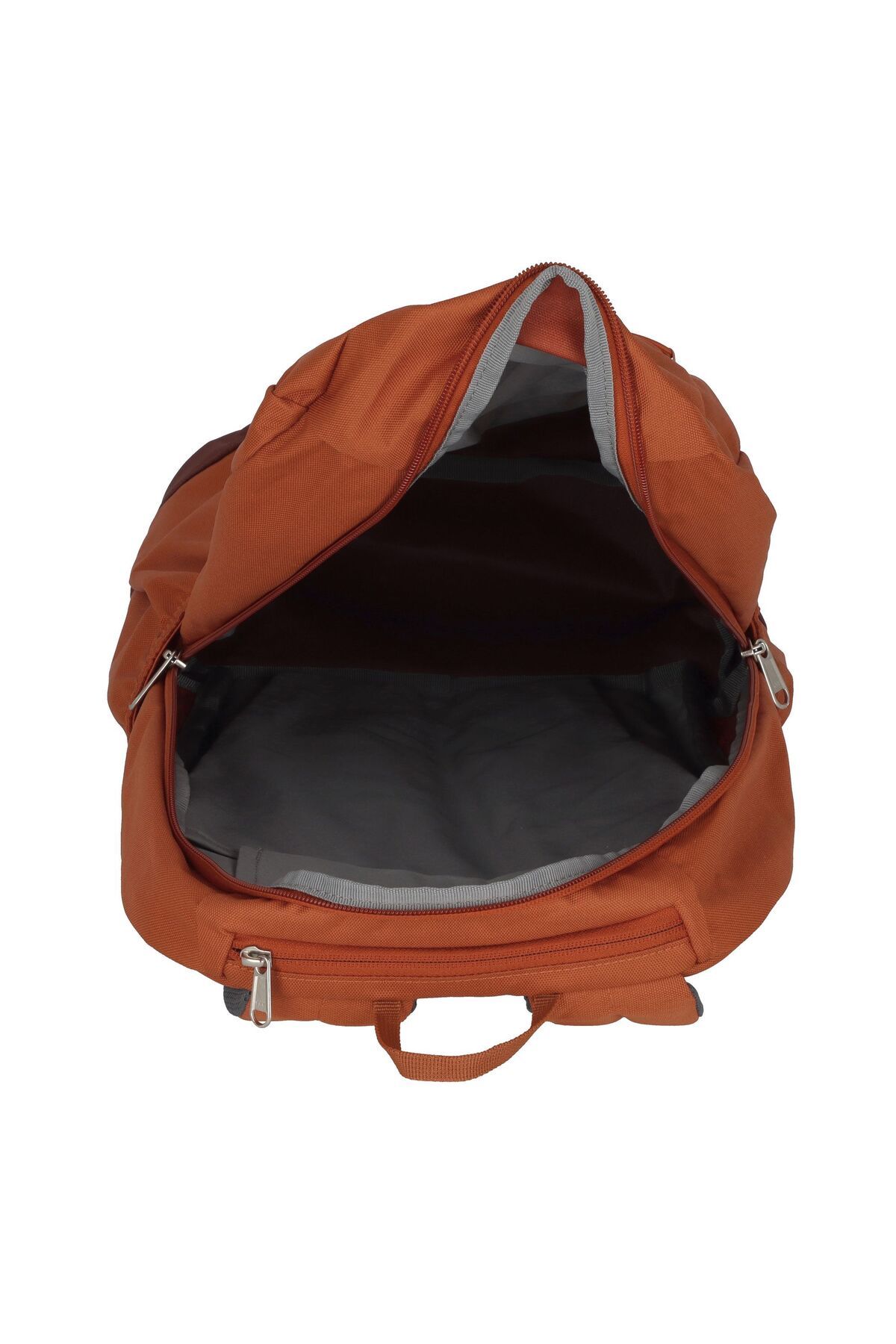 Deuter-Gogo Daypack 46 cm 5